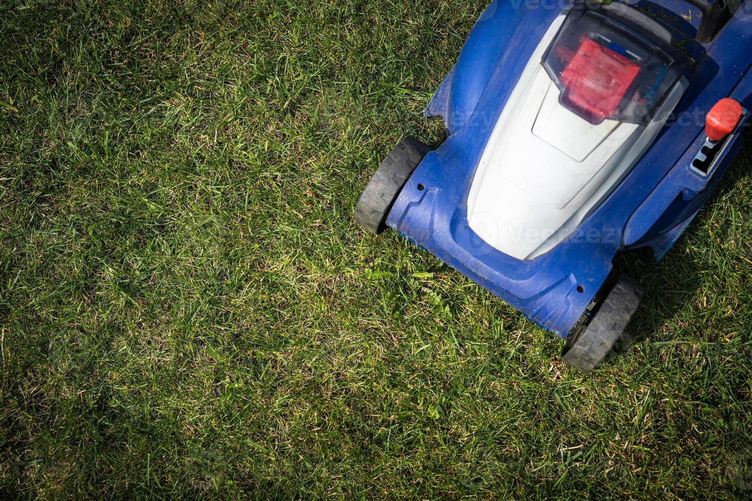 A lawn mower is cutting green grass, the gardener with a lawn mower is working in the backyard, a side view. photo