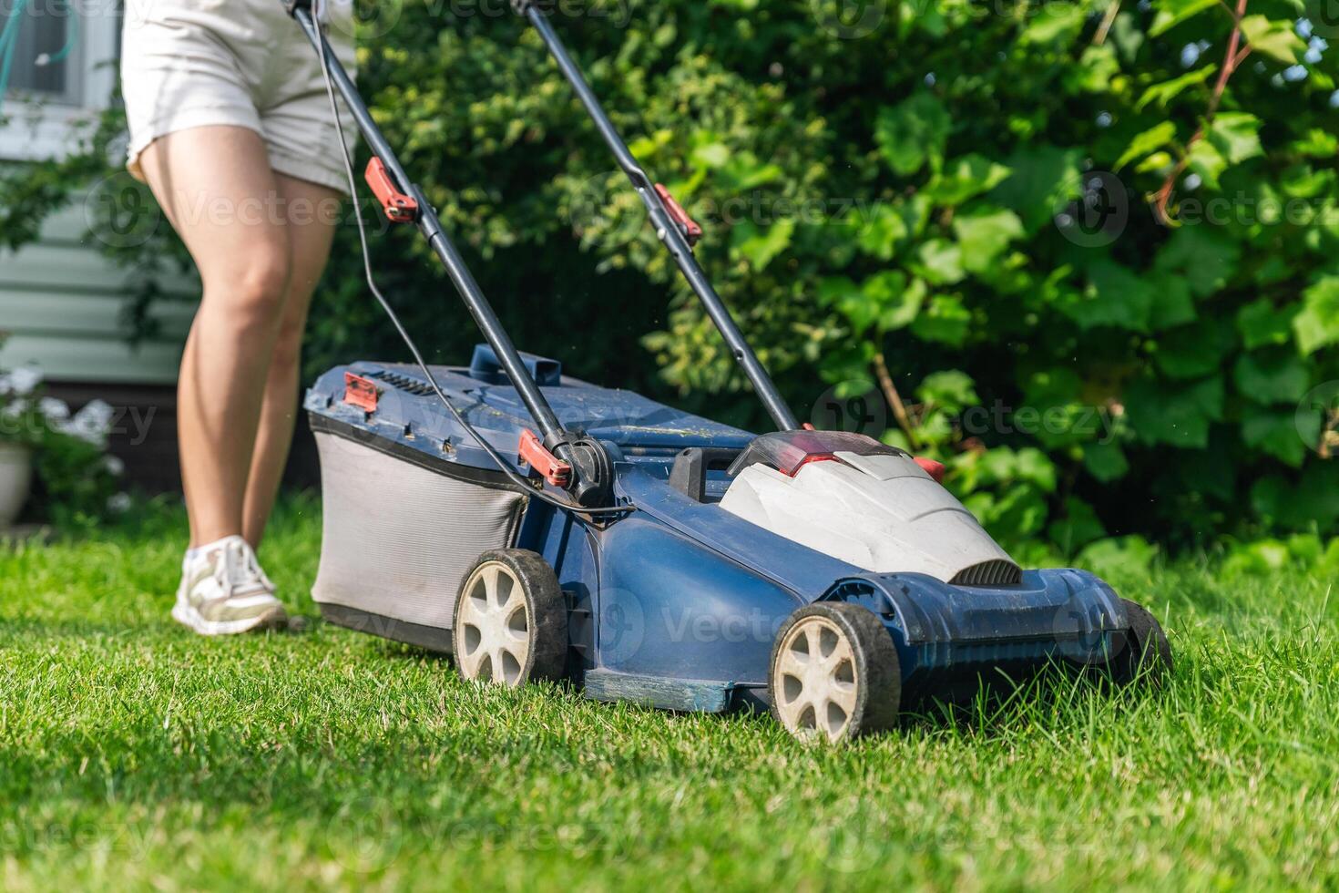 A lawn mower is cutting green grass, the gardener with a lawn mower is working in the backyard, a side view. photo
