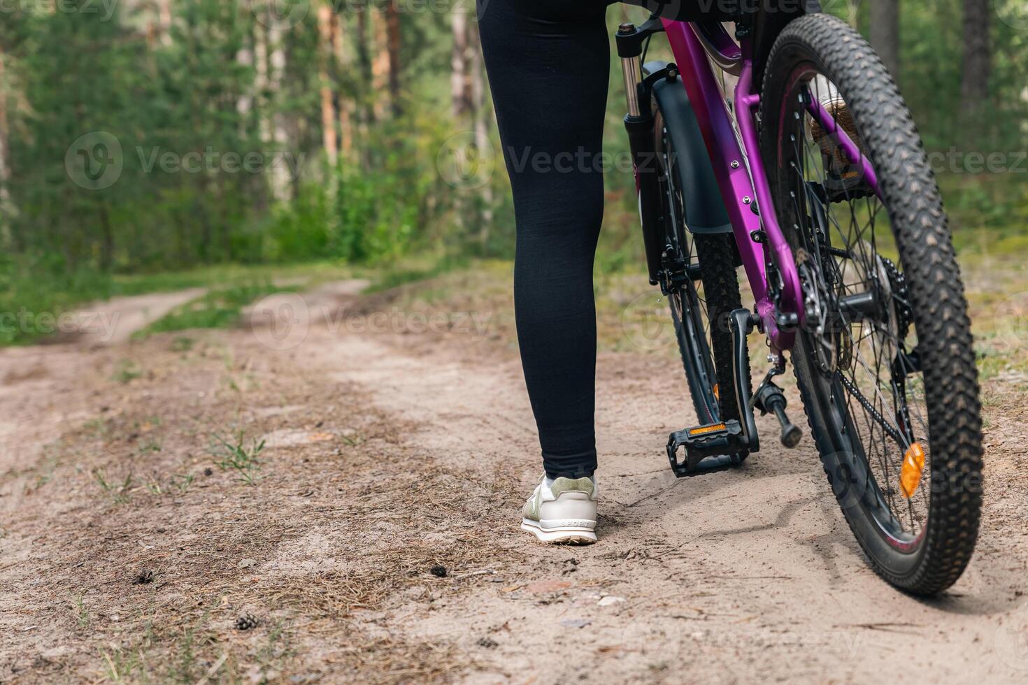 Bicycle parked on a forest trail, suggesting a perfect setting for mountain biking. The trail winds through dense trees, providing a scenic and adventurous backdrop. photo