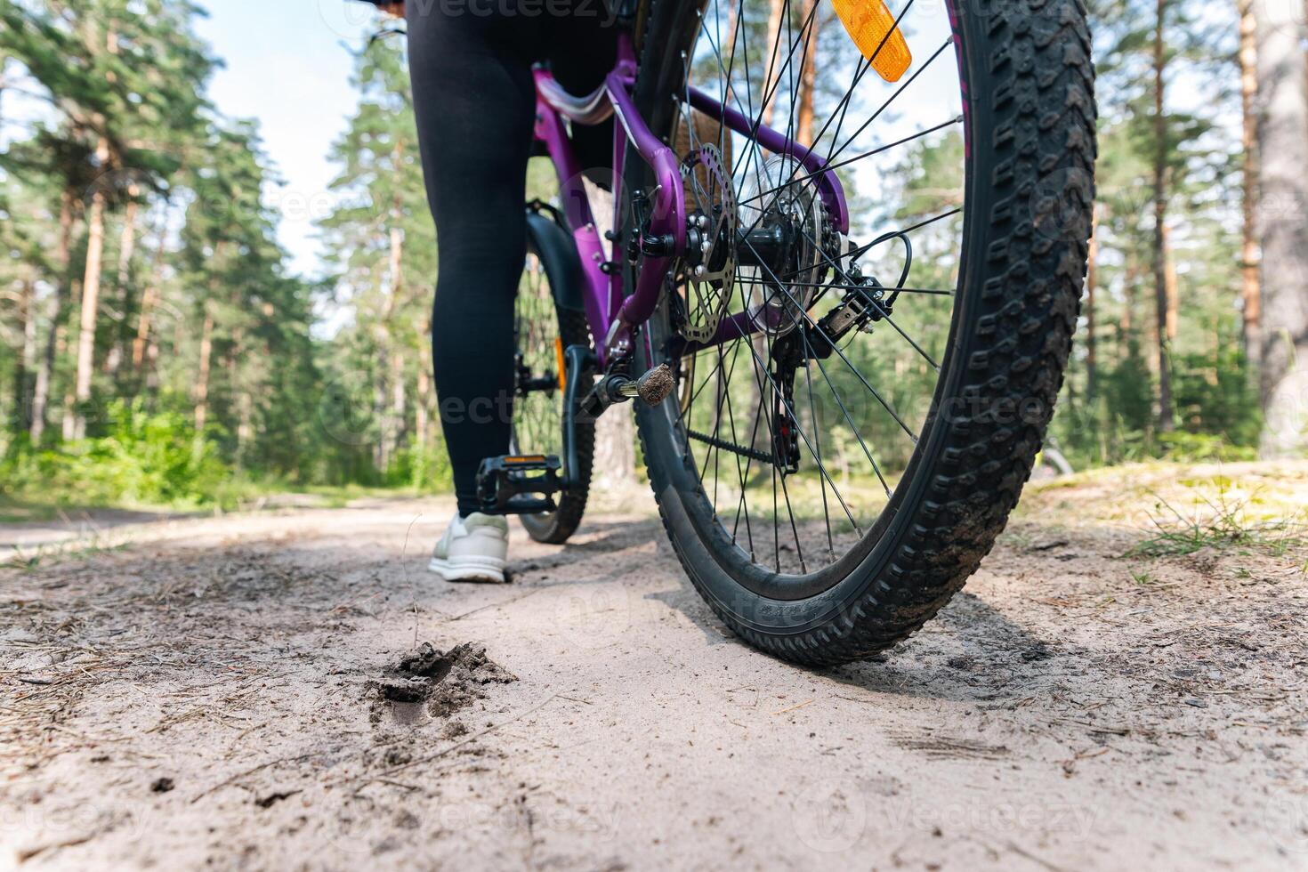 Close-up of a bicycle parked on a dirt trail, with a focus on the kickstand. The bike's rugged tires are well-suited for trail riding, and the scene suggests a forest environment. photo