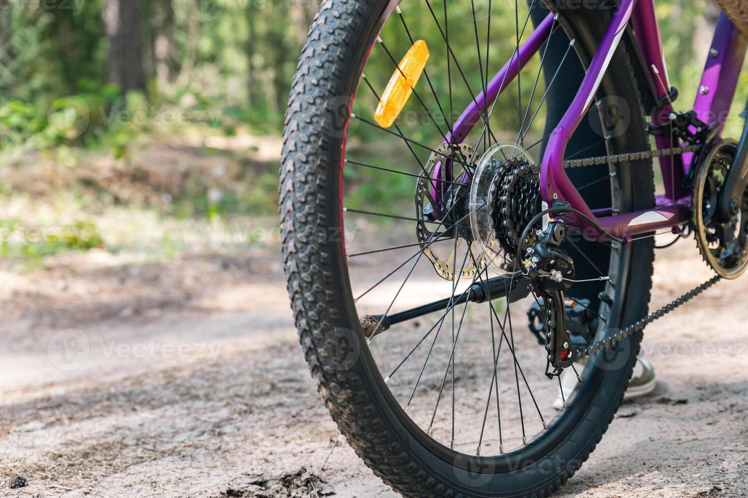 Focuses on the rear wheel of a bicycle. Bike disc brake system, which provides strong stopping power, essential for mountain or off-road biking. The thick tread on the tire is visible. photo