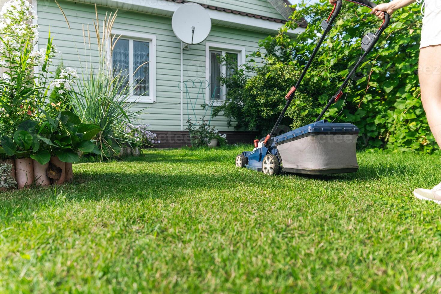 A lawn mower is cutting green grass, the gardener with a lawn mower is working in the backyard, a side view. photo