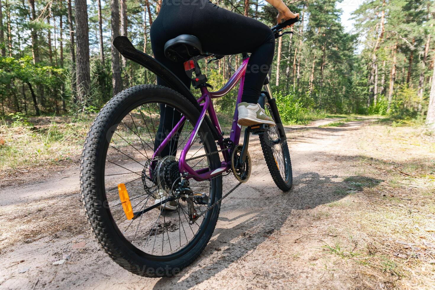 Bicycle parked on a forest trail, suggesting a perfect setting for mountain biking. The trail winds through dense trees, providing a scenic and adventurous backdrop. photo