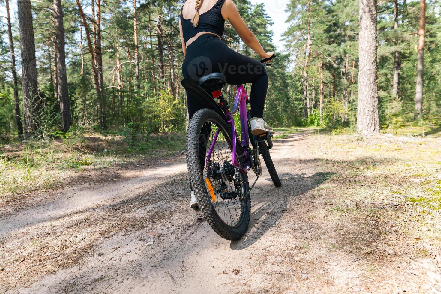 Bicycle parked on a forest trail, suggesting a perfect setting for mountain biking. The trail winds through dense trees, providing a scenic and adventurous backdrop. photo