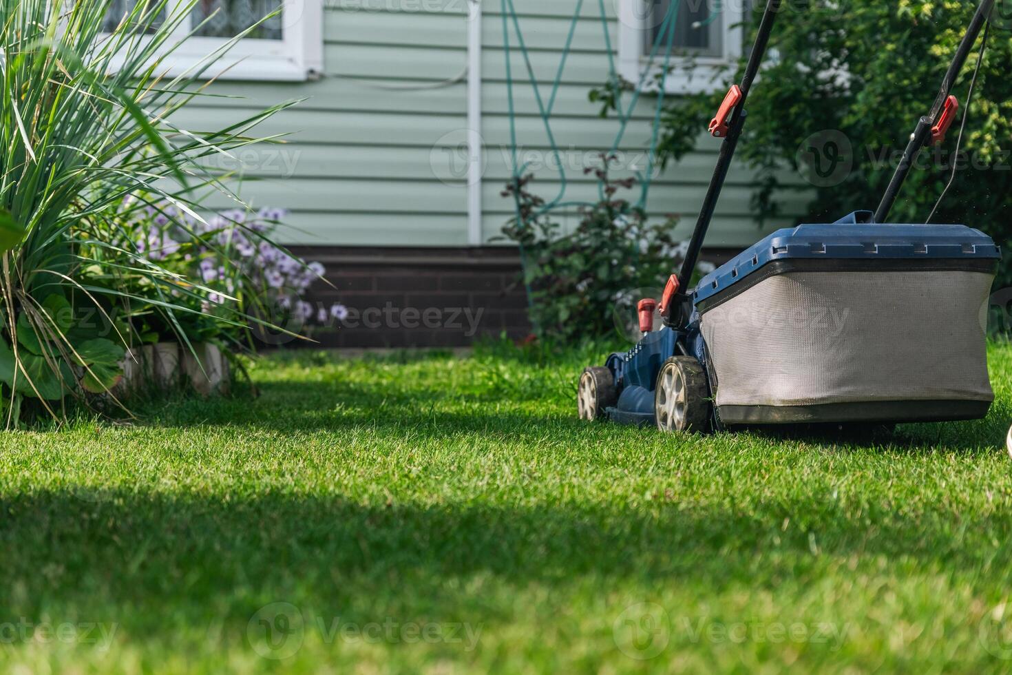 A lawn mower is cutting green grass, the gardener with a lawn mower is working in the backyard, a side view. photo