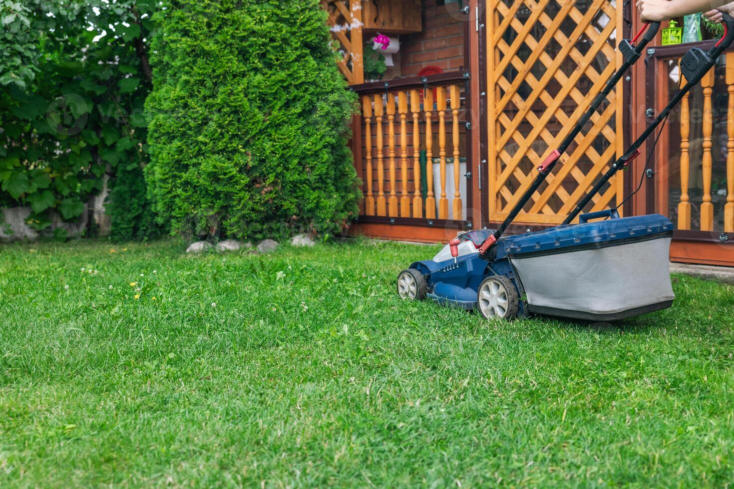 A lawn mower is cutting green grass, the gardener with a lawn mower is working in the backyard, a side view. photo