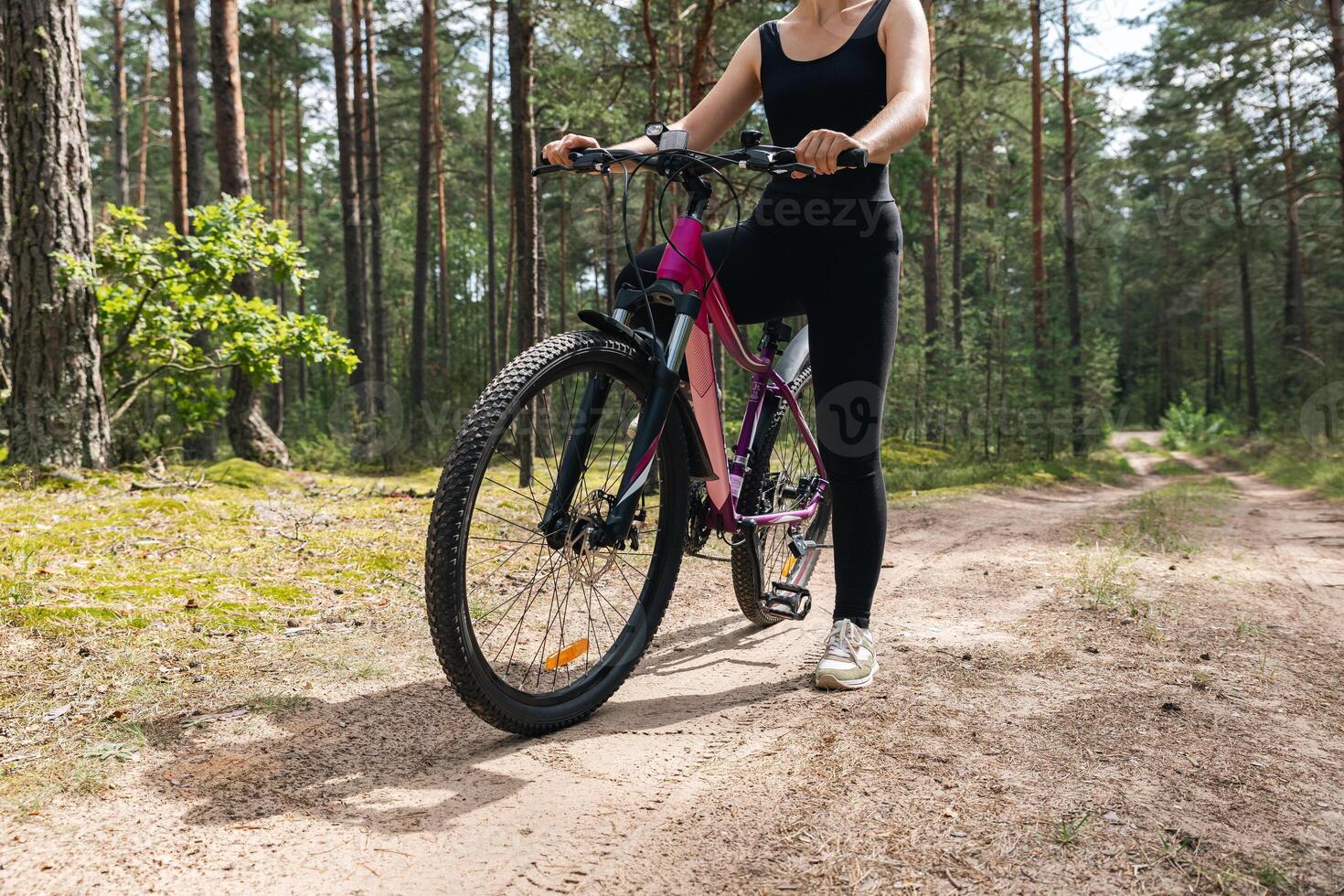 Bicycle parked on a forest trail, suggesting a perfect setting for mountain biking. The trail winds through dense trees, providing a scenic and adventurous backdrop. photo