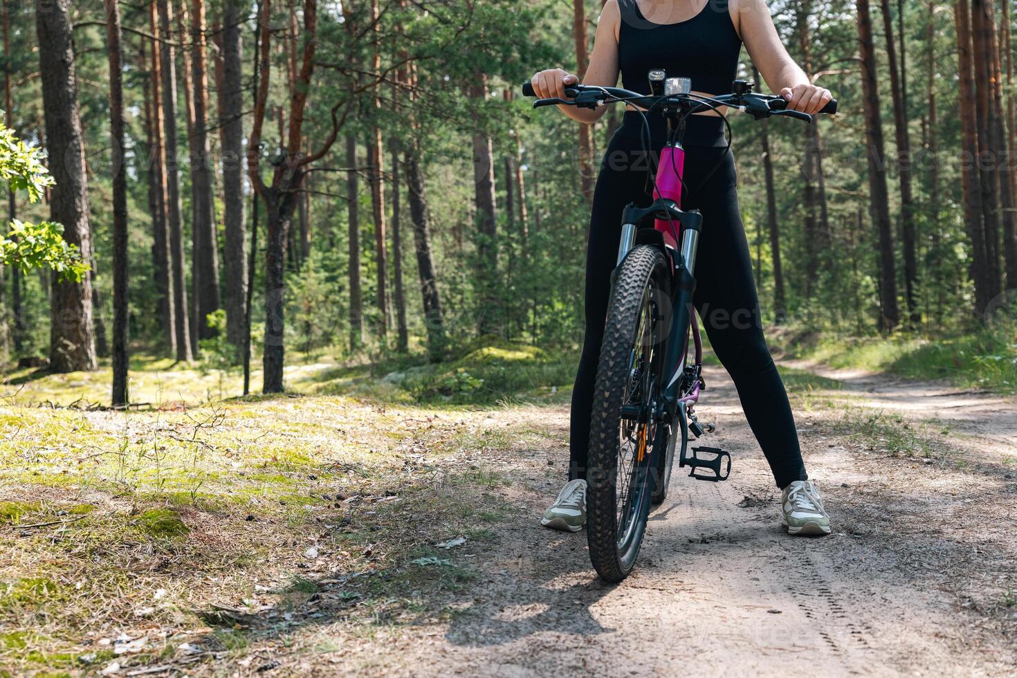 Bicycle parked on a forest trail, suggesting a perfect setting for mountain biking. The trail winds through dense trees, providing a scenic and adventurous backdrop. photo