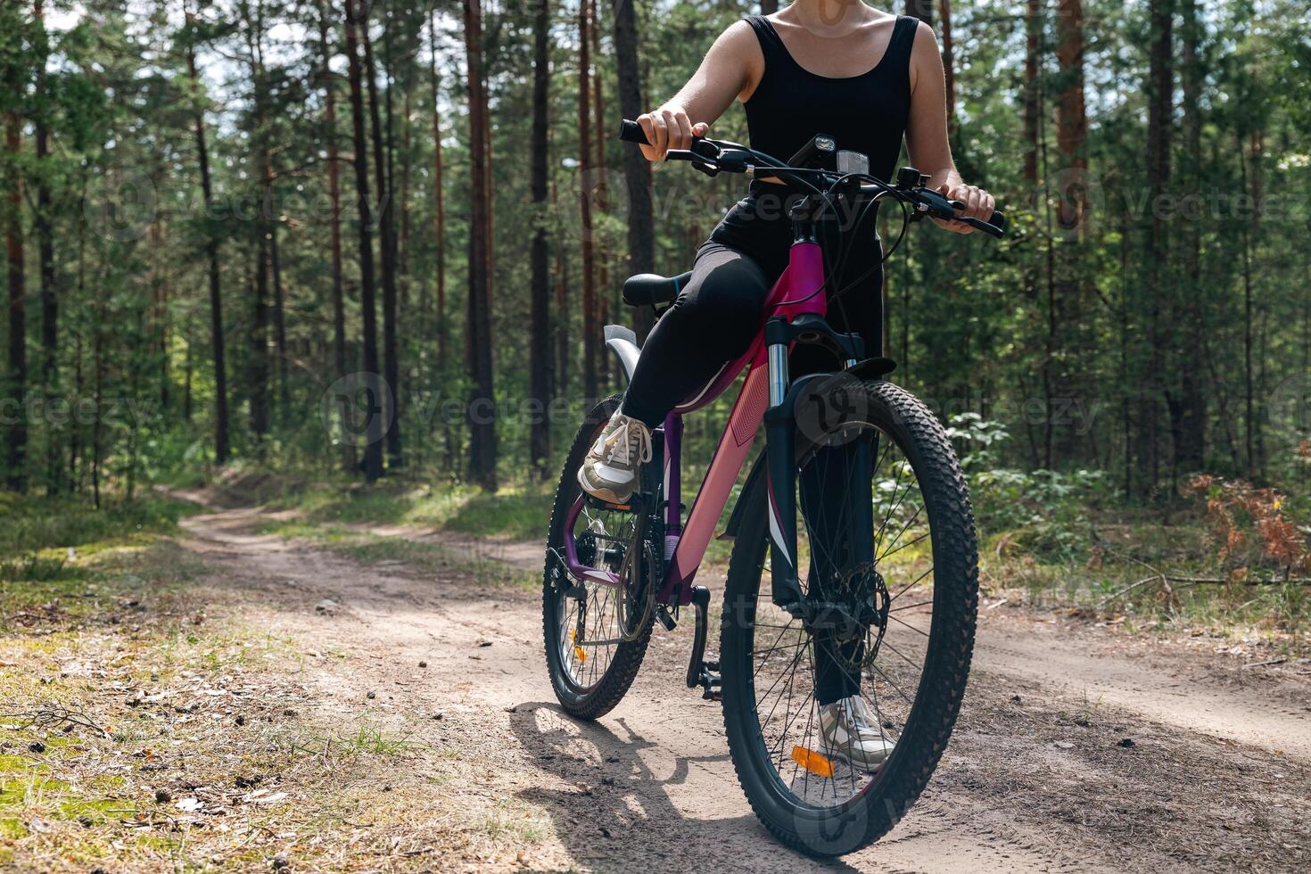 Bicycle parked on a forest trail, suggesting a perfect setting for mountain biking. The trail winds through dense trees, providing a scenic and adventurous backdrop. photo
