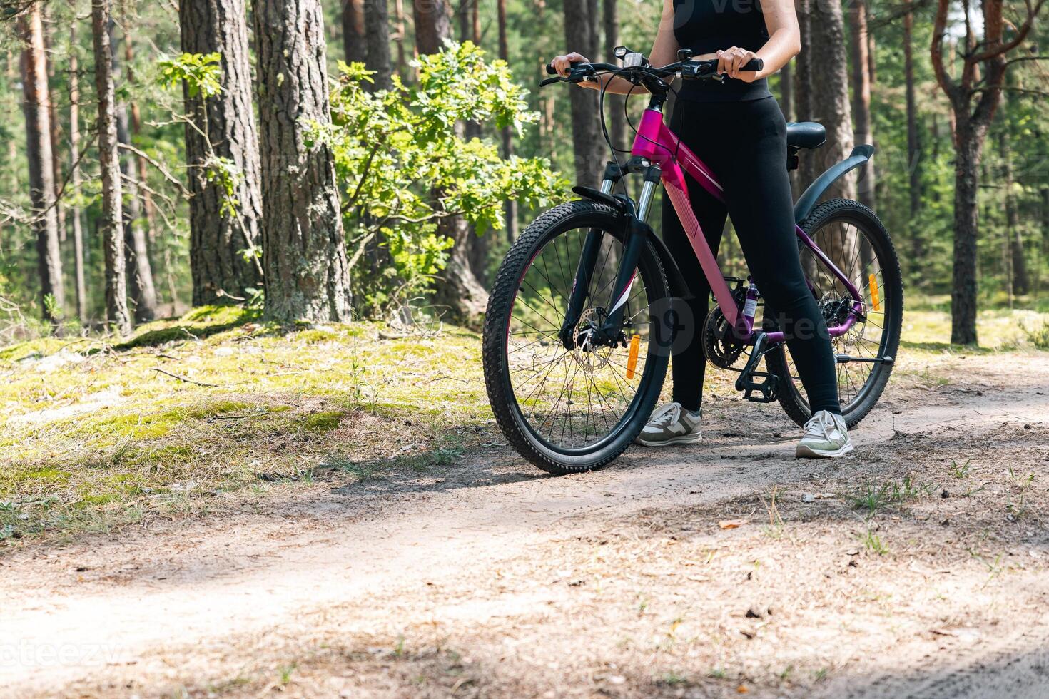 Bicycle parked on a forest trail, suggesting a perfect setting for mountain biking. The trail winds through dense trees, providing a scenic and adventurous backdrop. photo