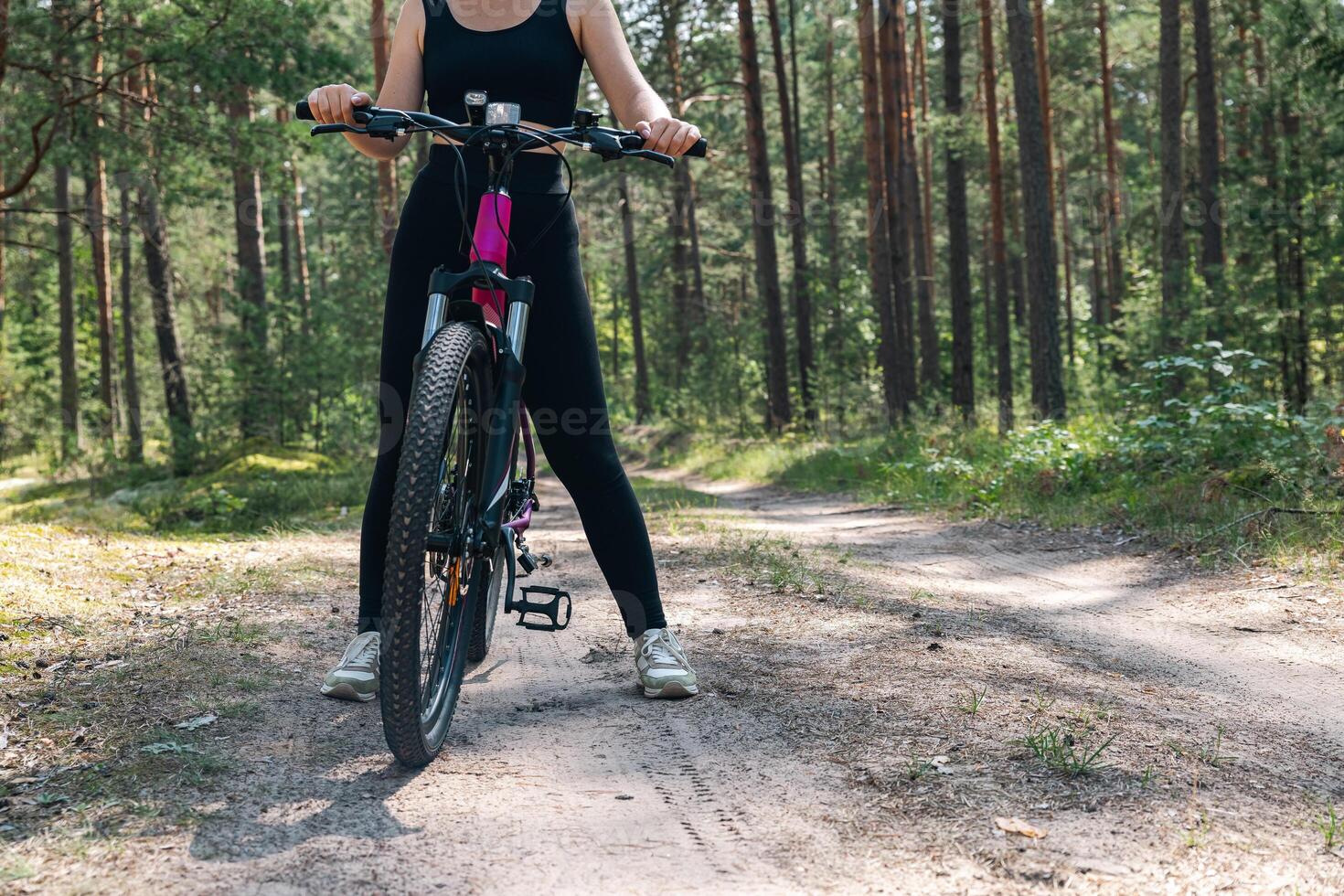 Bicycle parked on a forest trail, suggesting a perfect setting for mountain biking. The trail winds through dense trees, providing a scenic and adventurous backdrop. photo