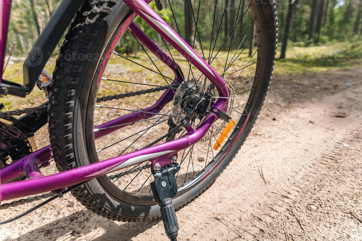 Focuses on the rear wheel of a bicycle. Bike disc brake system, which provides strong stopping power, essential for mountain or off-road biking. The thick tread on the tire is visible. photo
