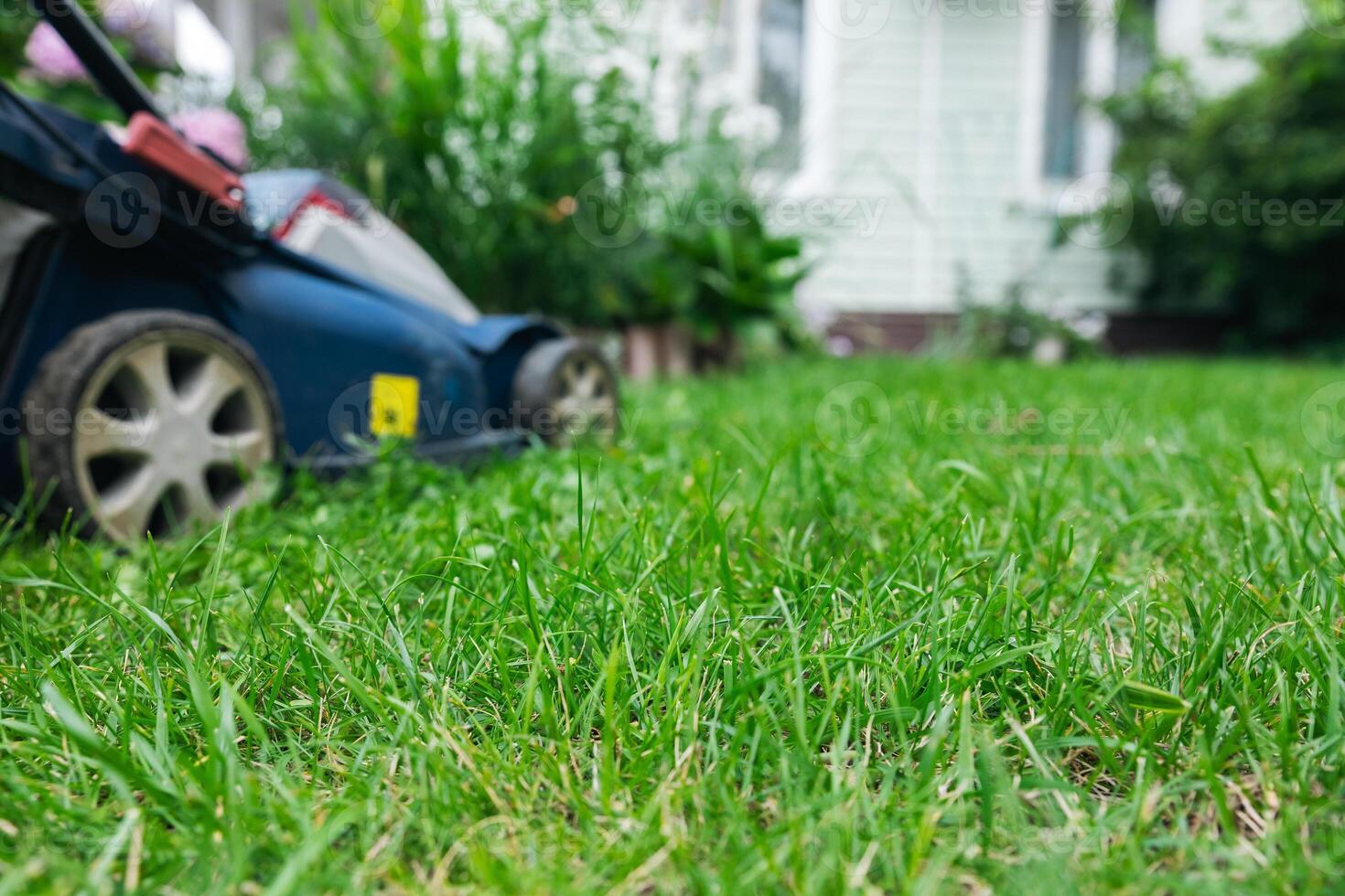 Lawn mower on a grassy lawn. Push mower with a grass collection bag attached to the back. Grass to a consistent height, providing a neat and uniform lawn appearance. photo