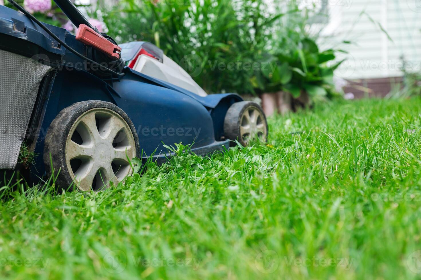 Lawn mower on a grassy lawn. Push mower with a grass collection bag attached to the back. Grass to a consistent height, providing a neat and uniform lawn appearance. photo