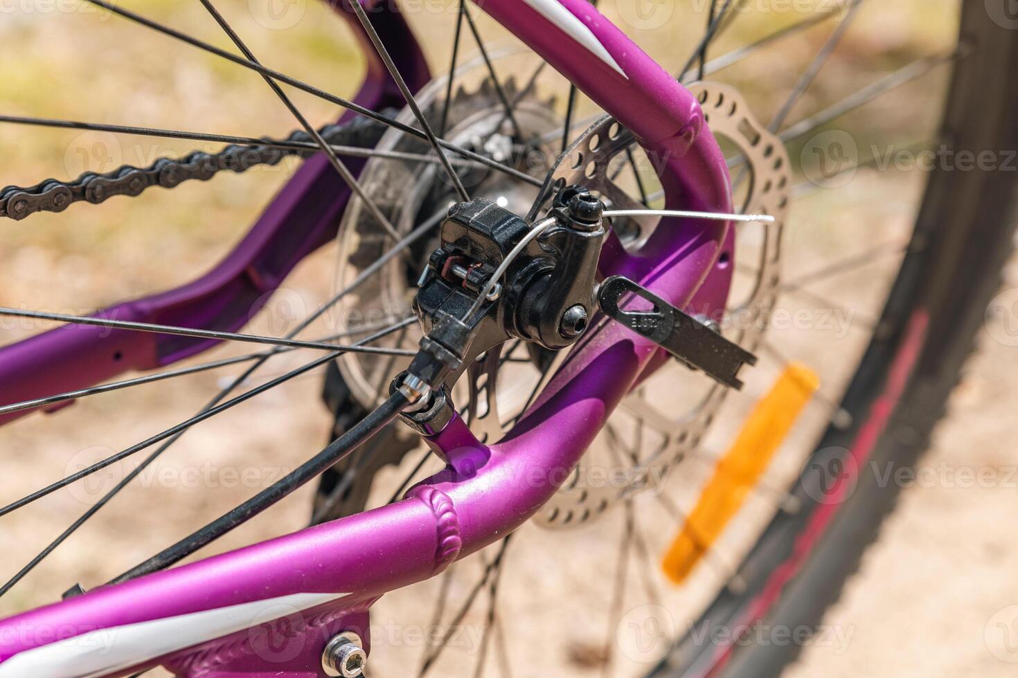 Focuses on the rear wheel of a bicycle. Bike disc brake system, which provides strong stopping power, essential for mountain or off-road biking. The thick tread on the tire is visible. photo