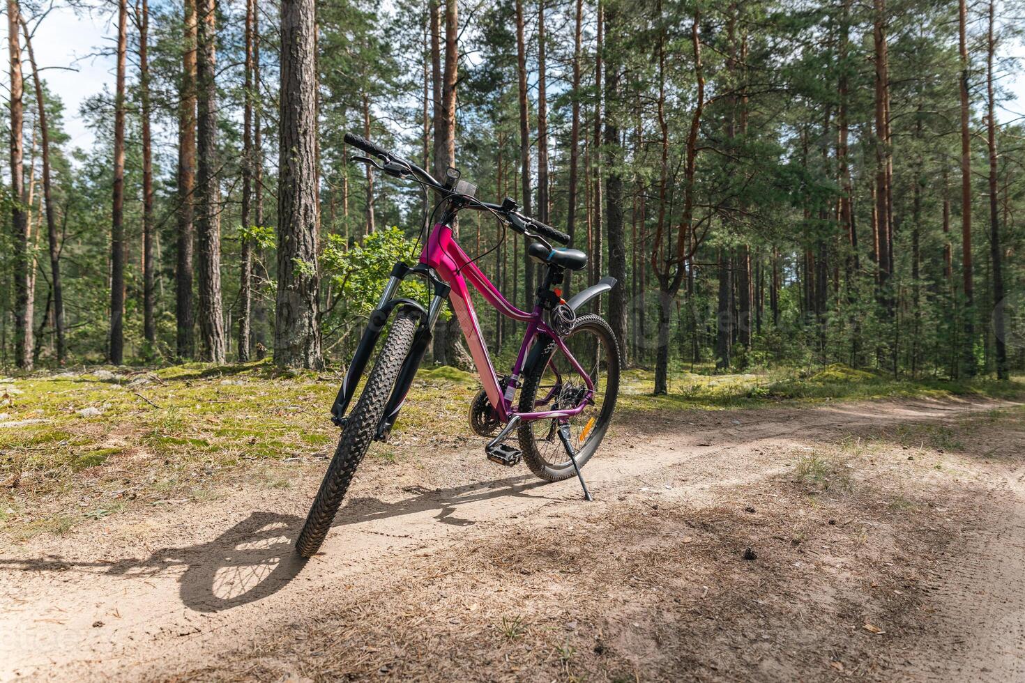 Bicycle parked on a forest trail, suggesting a perfect setting for mountain biking. The trail winds through dense trees, providing a scenic and adventurous backdrop. photo
