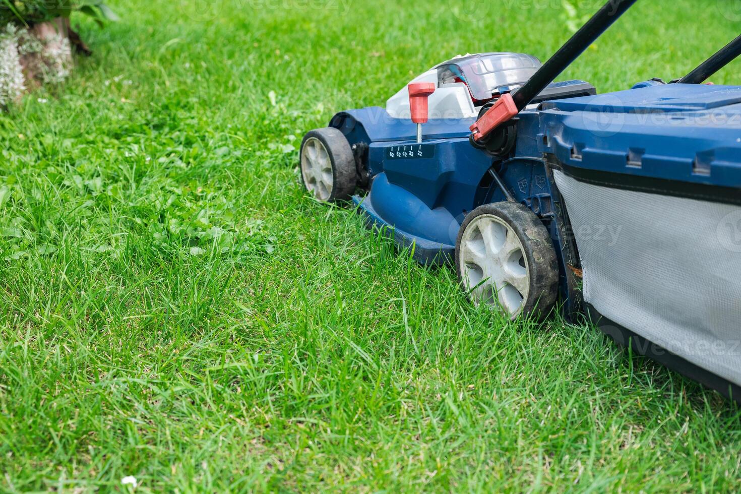 Lawn mower on a grassy lawn. Push mower with a grass collection bag attached to the back. Grass to a consistent height, providing a neat and uniform lawn appearance. photo