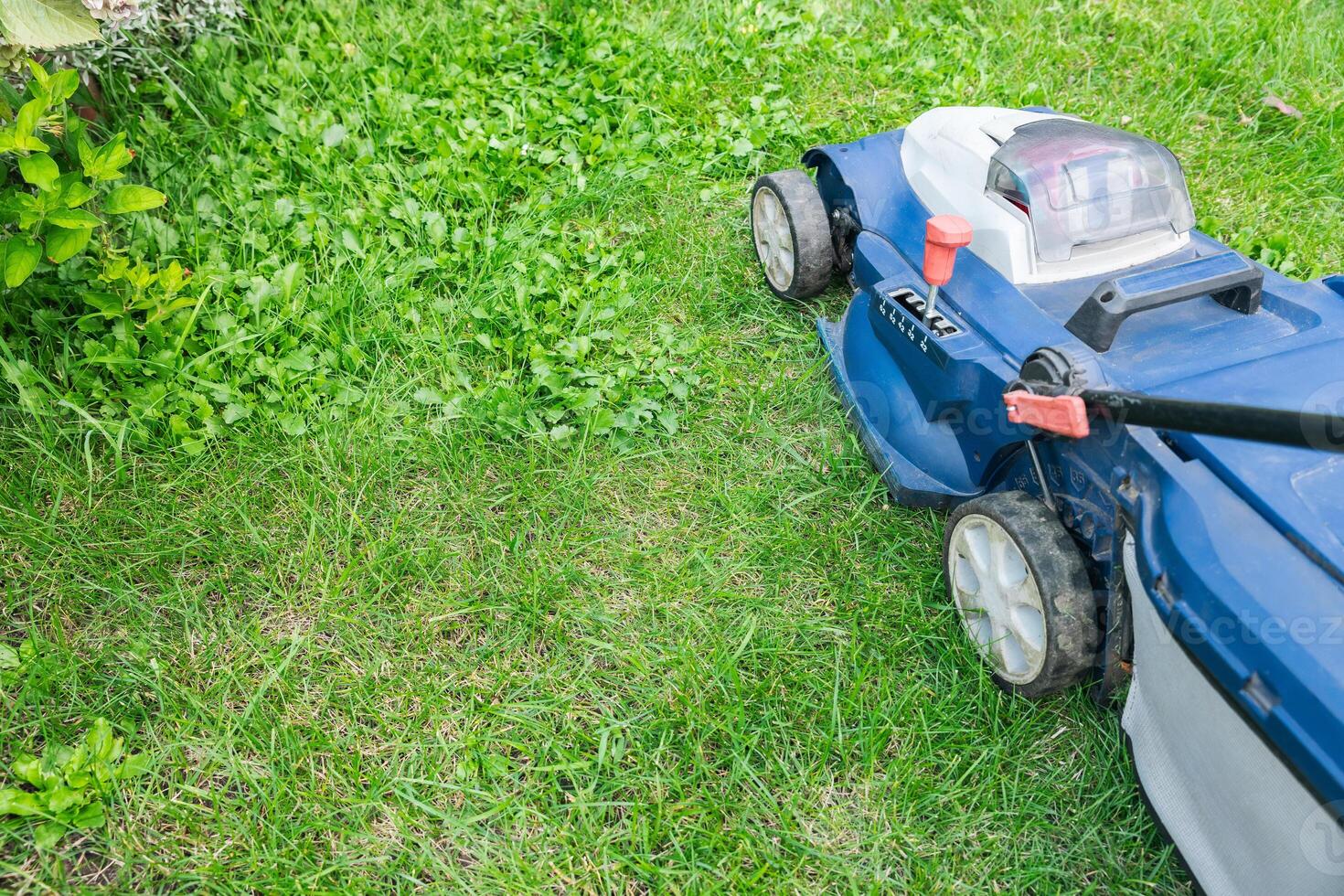 Lawn mower on a grassy lawn. Push mower with a grass collection bag attached to the back. Grass to a consistent height, providing a neat and uniform lawn appearance. photo
