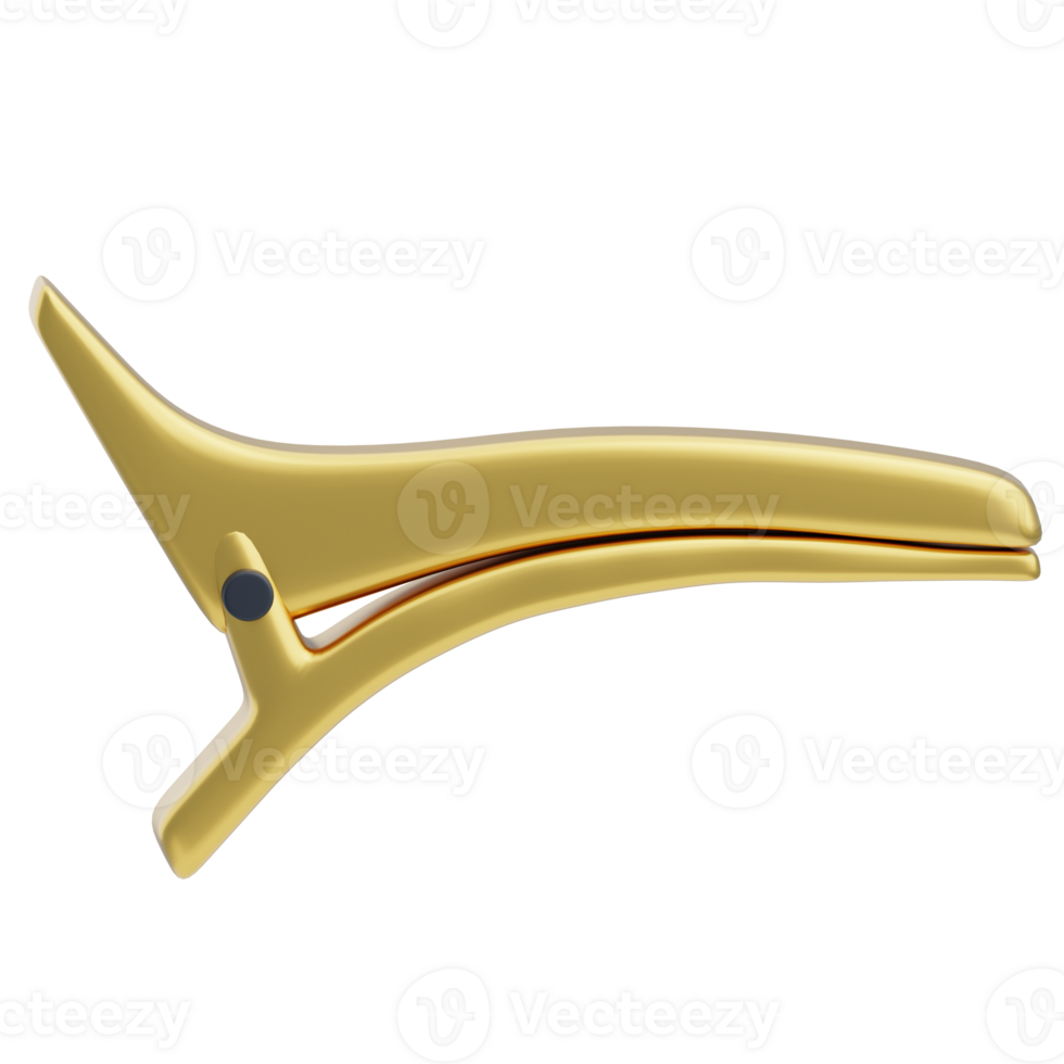 Gold Hair Clip Accessory 3D Design Model png