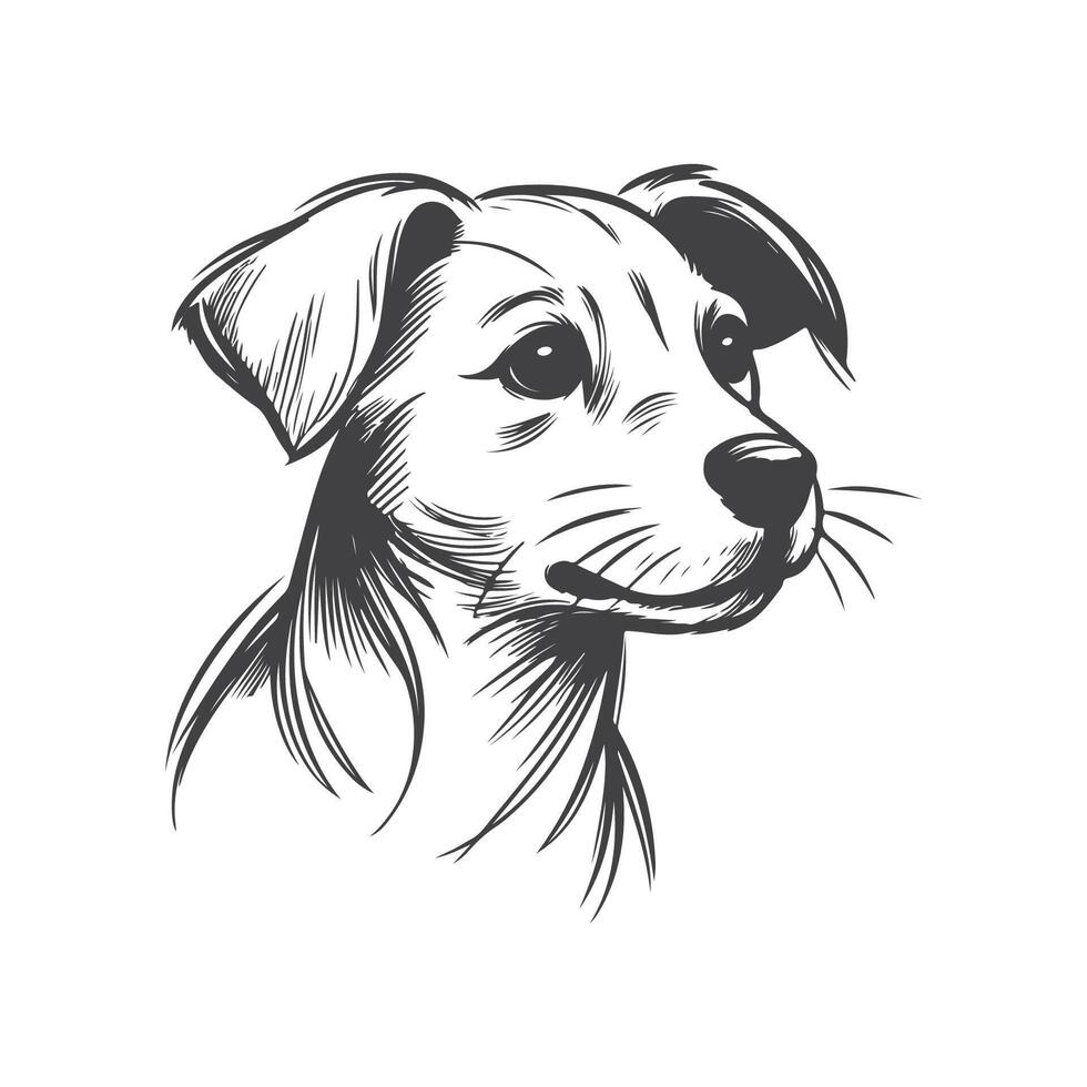 Elegant Hand Drawn Dog Sketch in Minimalist Style vector