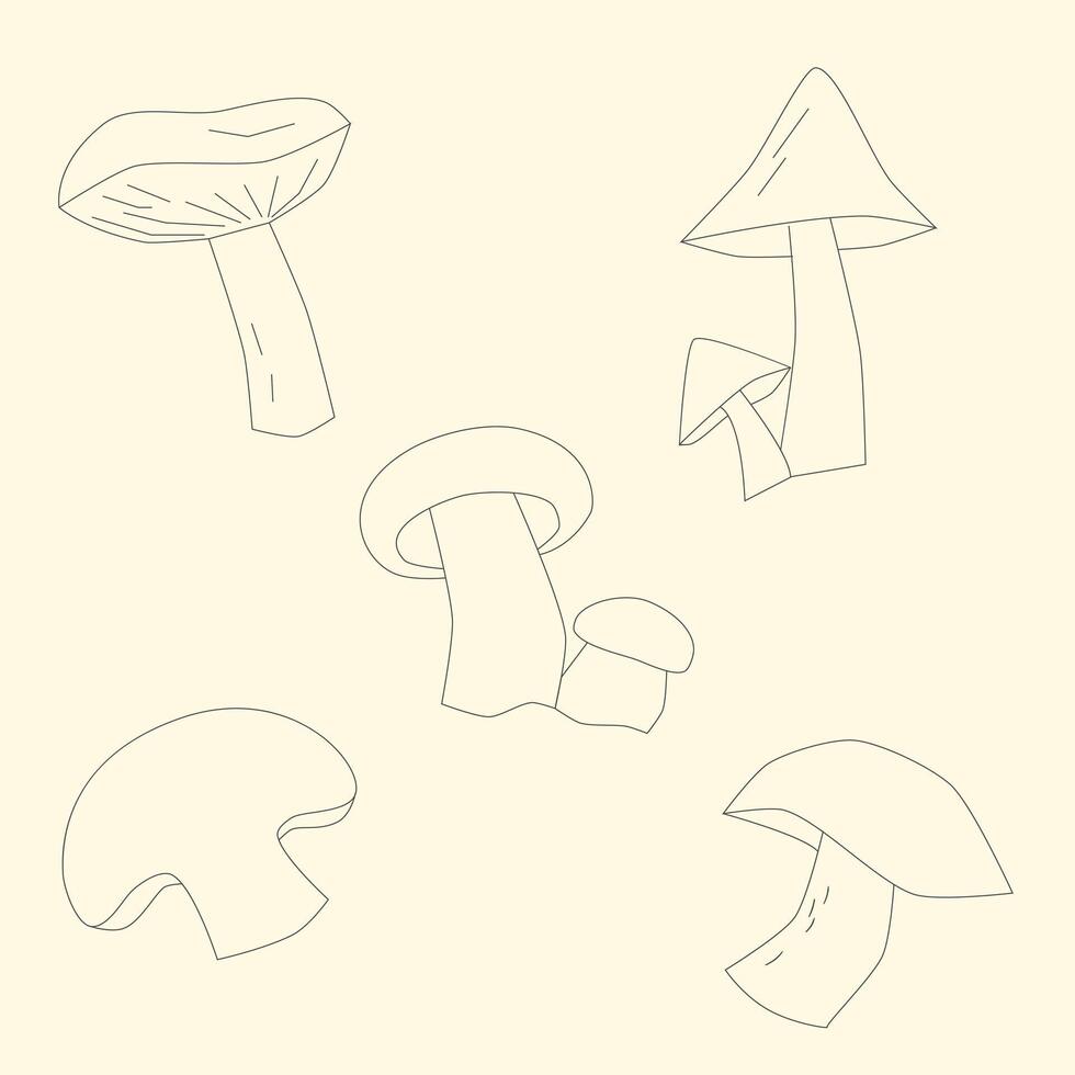 Mushrooms outline doodle hand drawn illustration vector