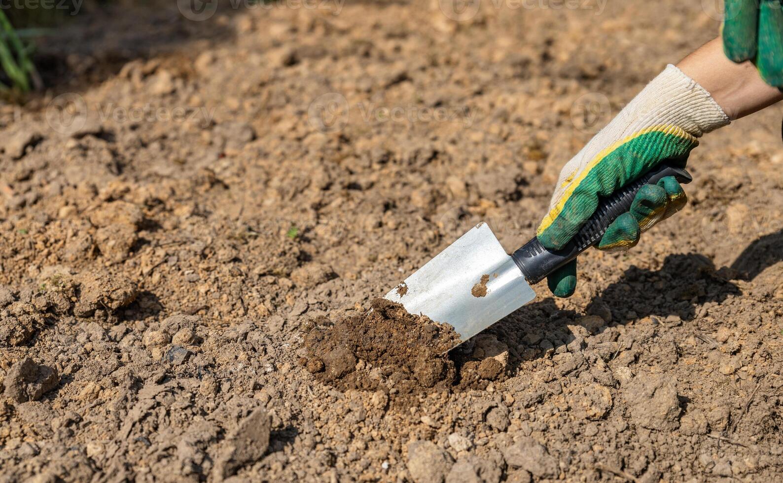 Close-up of hands digging soil with garden shovel. Springtime, working on a plot of land, landscaping, gardening, growing flowers, fruit crops. Copy space. photo