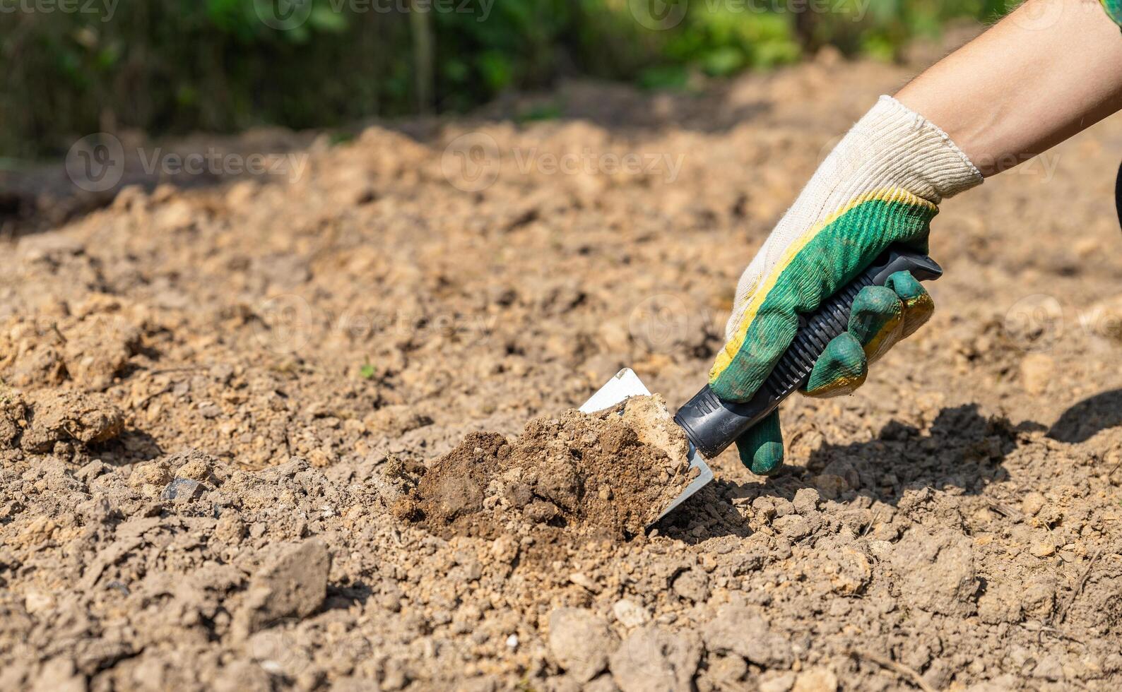 Close-up of hands digging soil with garden shovel. Springtime, working on a plot of land, landscaping, gardening, growing flowers, fruit crops. Copy space. photo