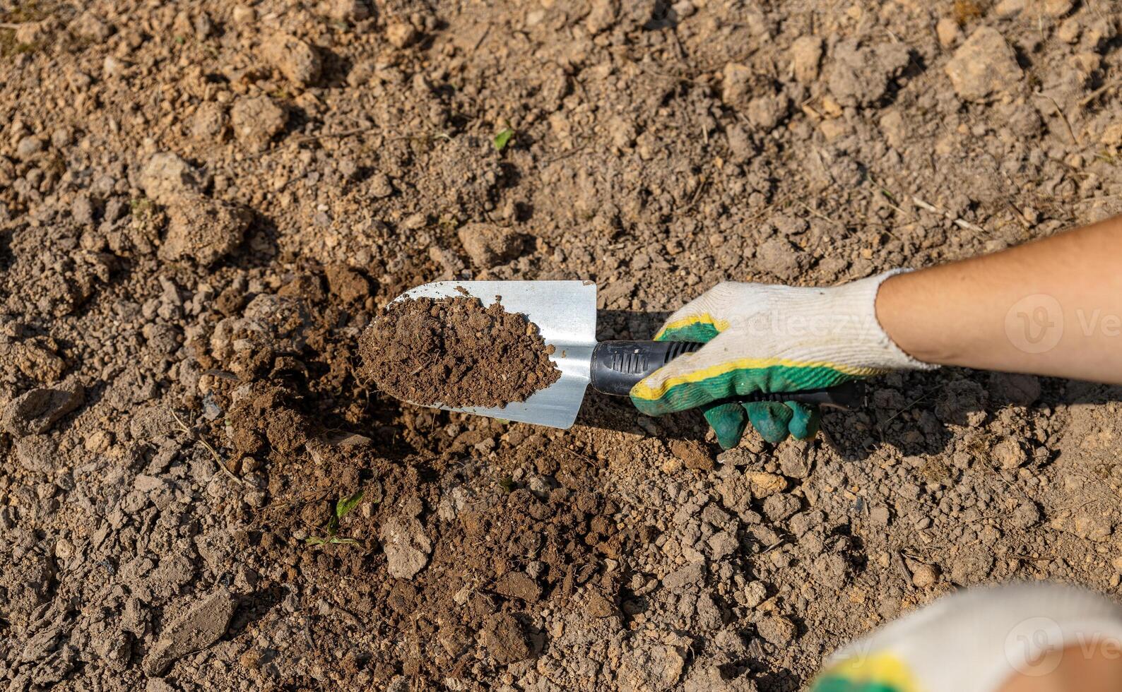 Close-up of hands digging soil with garden shovel. Springtime, working on a plot of land, landscaping, gardening, growing flowers, fruit crops. Copy space. photo