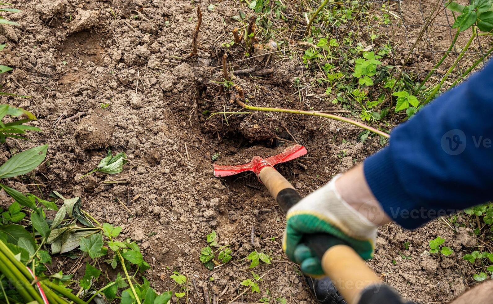 farmer spade soil, digging earth boots, agriculture work cultivation, farm work manual labor garden, vegetable patch digging farmer, outdoor work farming tools, cultivating land gardener, soil photo