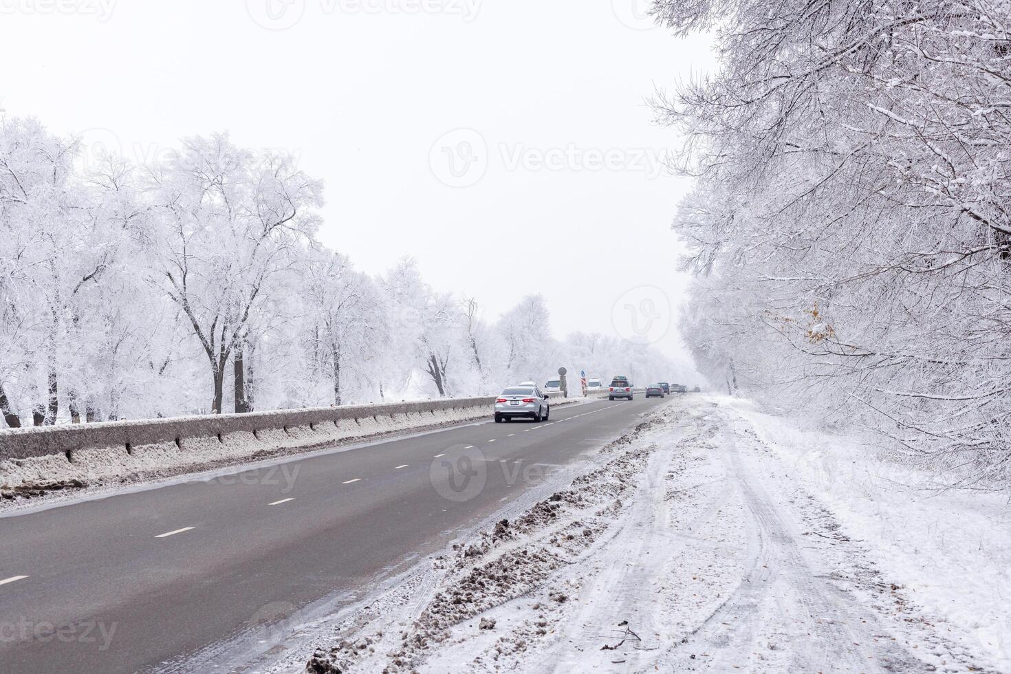 winter interstate road with snow covered trees at overcast day photo