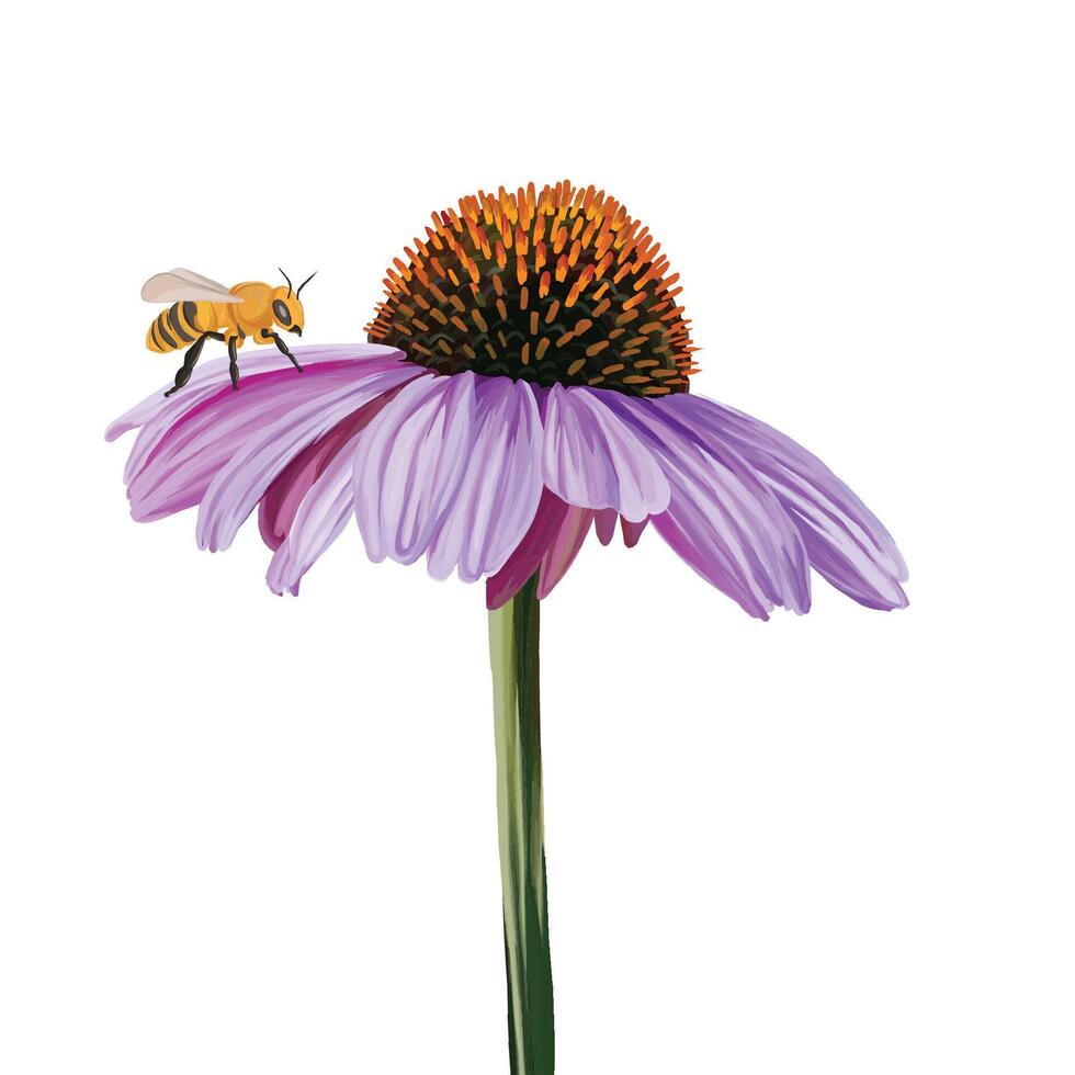 Bee on a pink flower vector