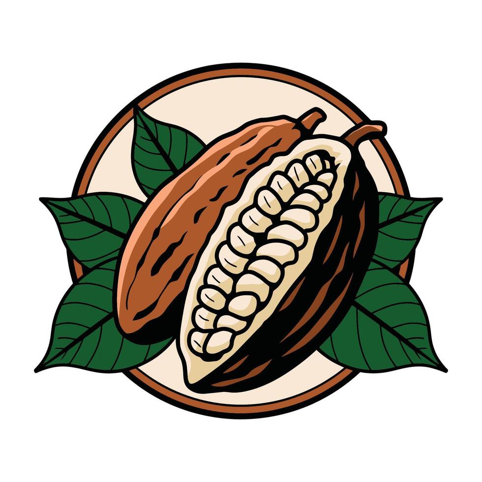Opened Cacao Pod with Beans and Green Leaves Illustration vector