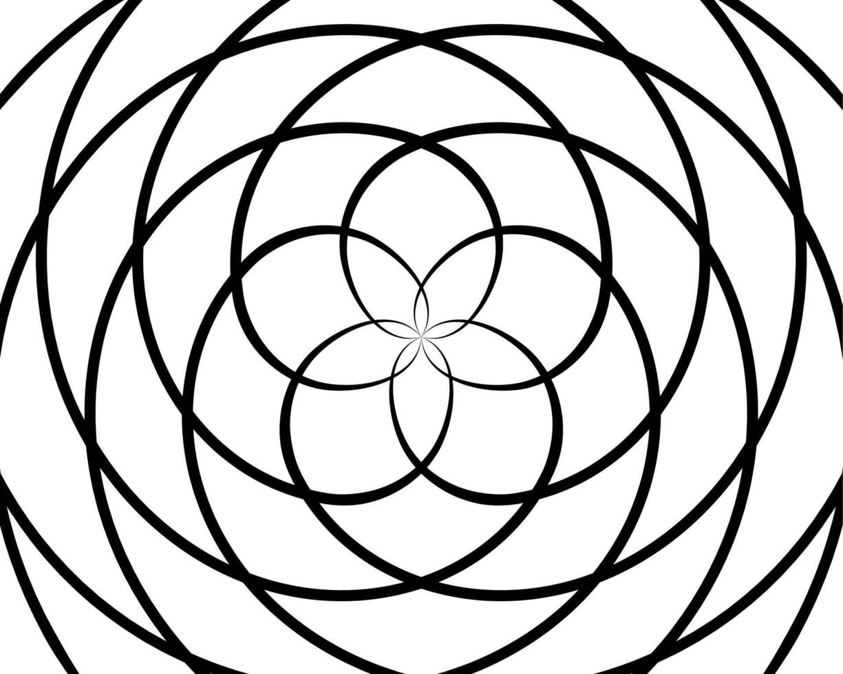 Abstract background . Black and white pattern. Ornament template for print page poster, web design element. vector