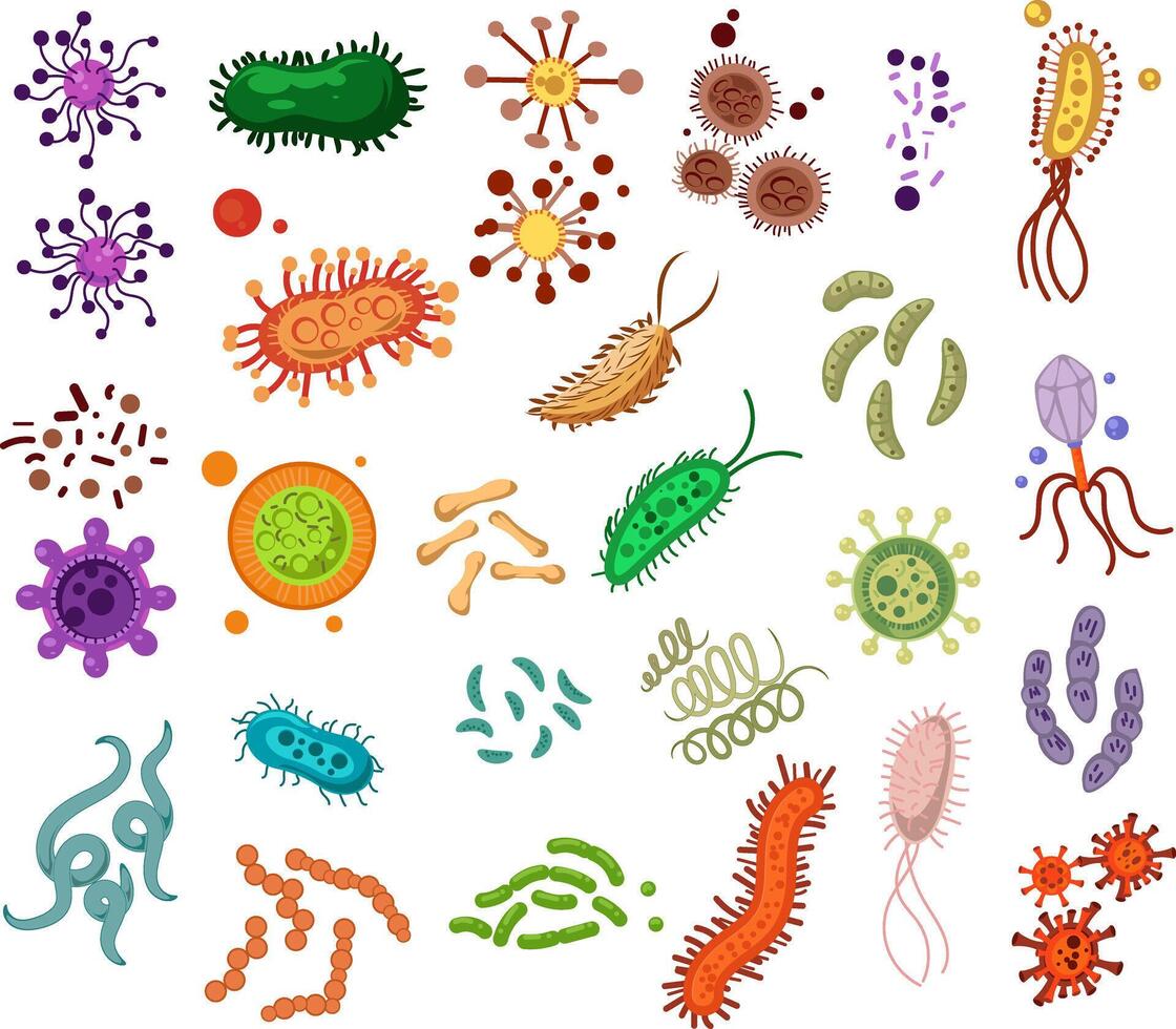 bacteria and viruses illustration set vector
