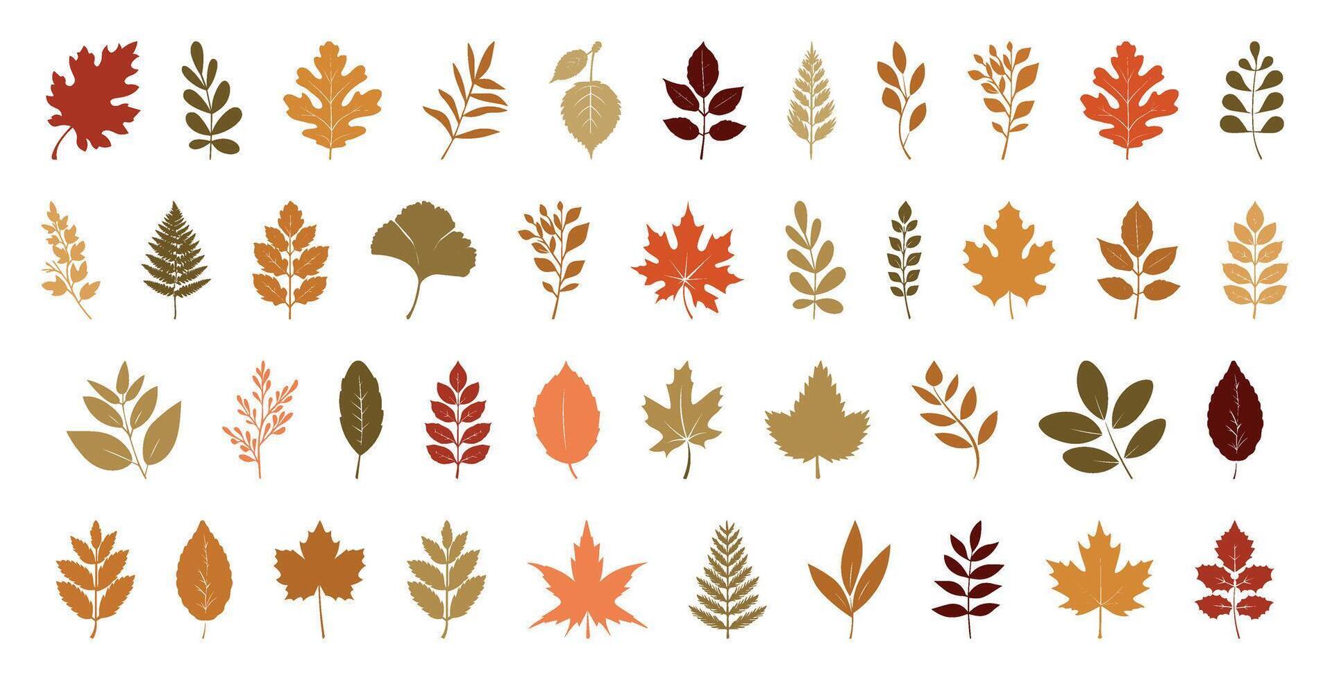 Set of autumn leaves isolated. Colorful flat illustration. Collection of silhouettes of autumn leaves in warm colors. dry maple and berries illustration. fall icon set vector
