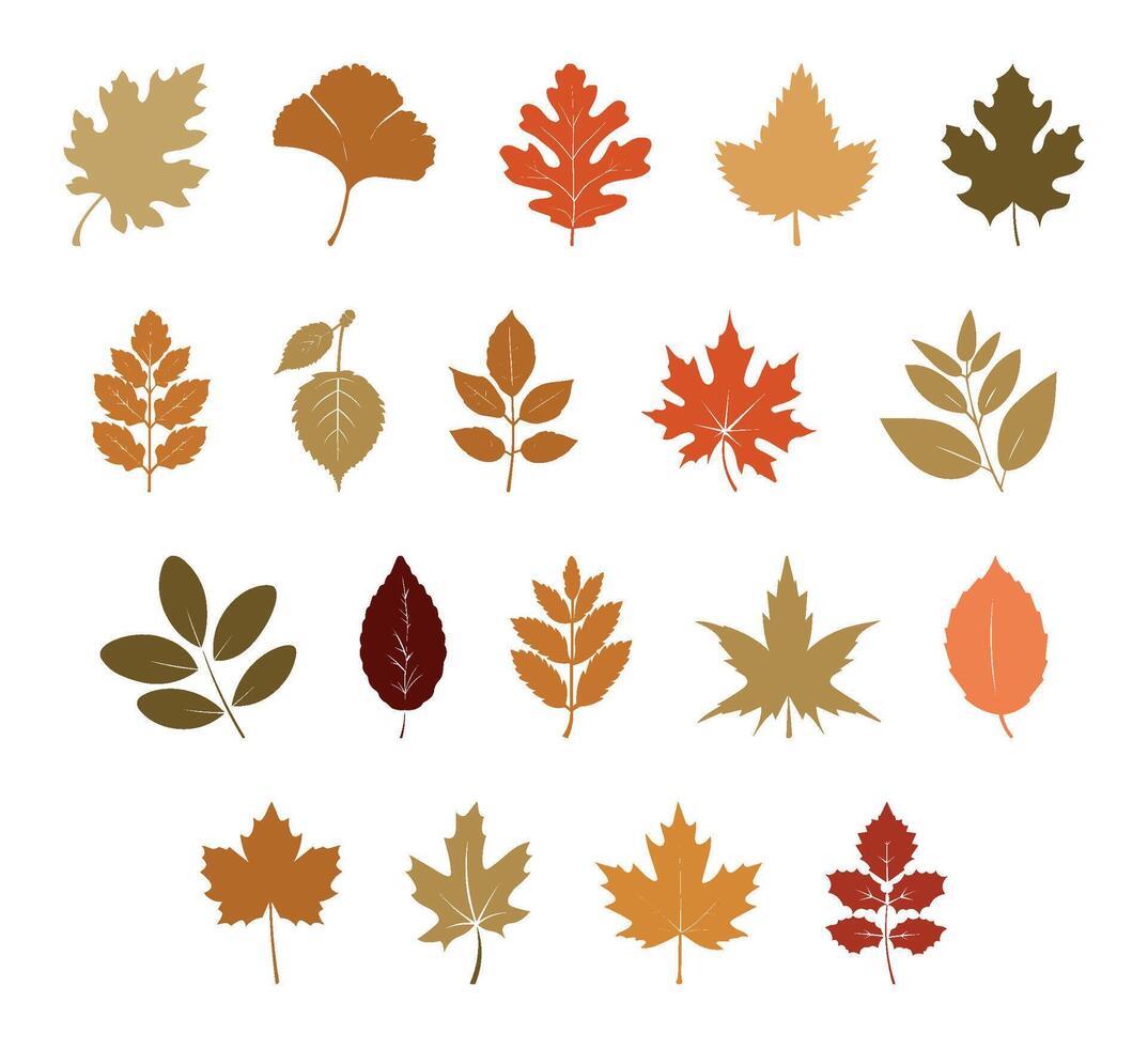 Colorful autumn set of leaves. Fall leaves isolated collection. silhouette leaves. Yellow foliage collection. Rowan, oak, maple, birch. Colorful autumn leaf set. vector