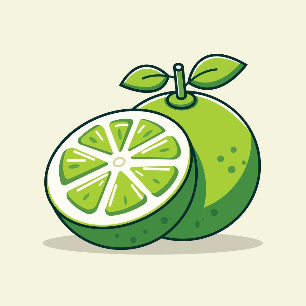 Slice And Whole Of Lime Cartoon Illustration. Fresh Lime Fruit Flat Icon Outline vector