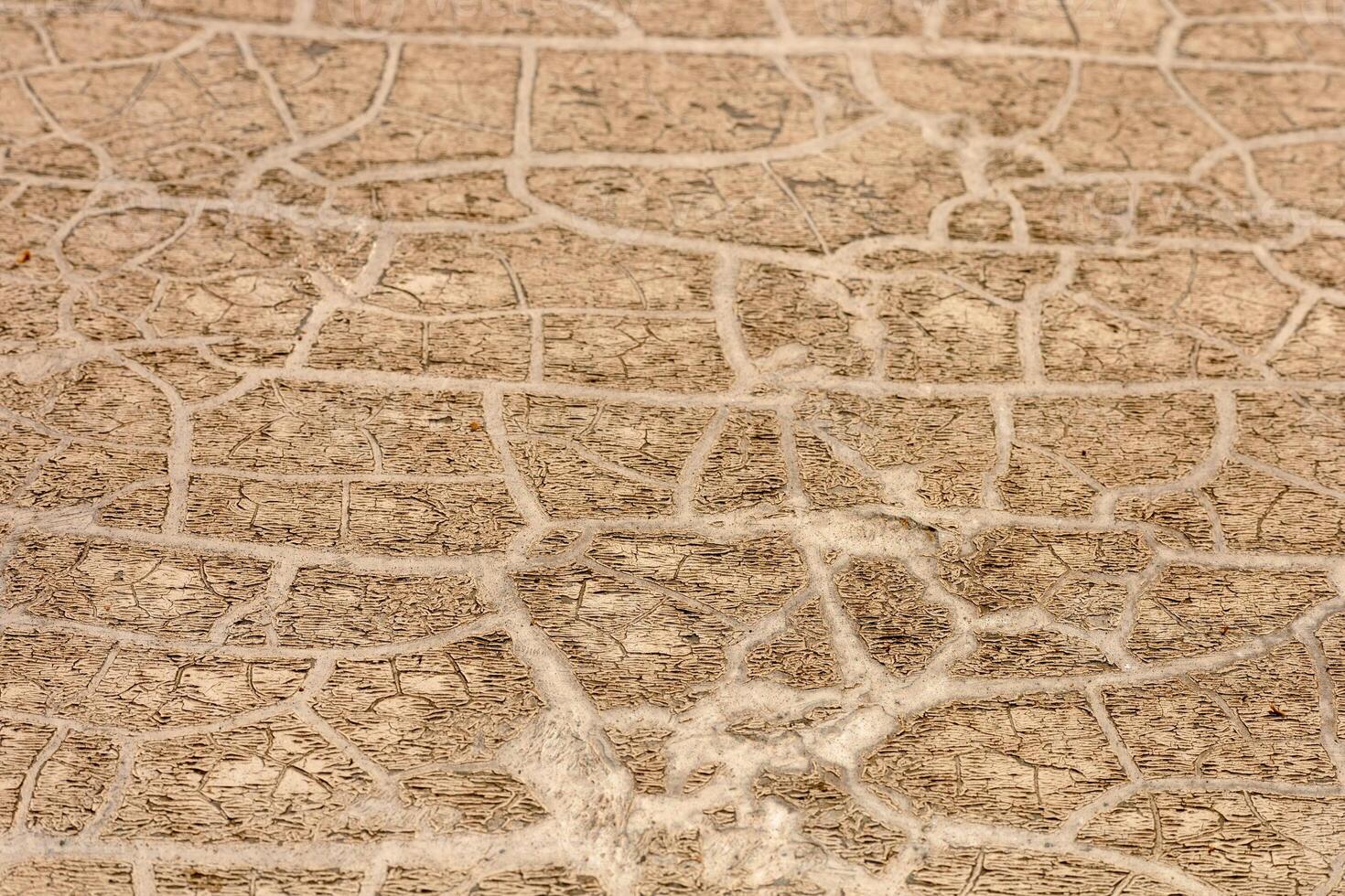 Intricate patterns on cracked ground showcasing drought conditions in a dry landscape photo