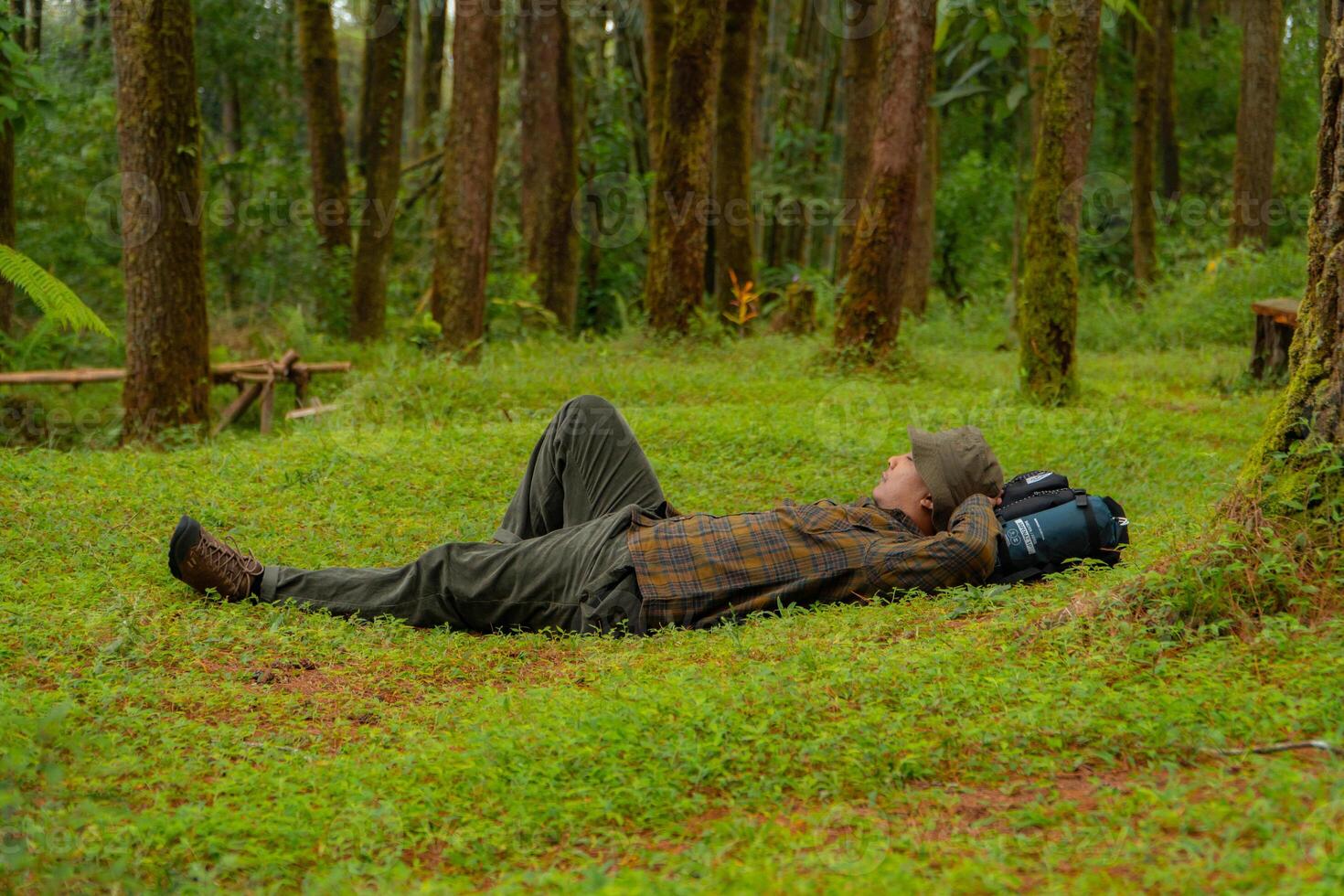 Asian adventurers enjoy the serenity of the wild by resting on the green grass in the pine forest area. A male adventurer was lying on the green grass in a quiet pine forest area. photo