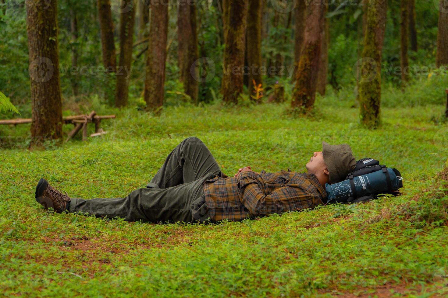Asian adventurers enjoy the serenity of the wild by resting on the green grass in the pine forest area. A male adventurer was lying on the green grass in a quiet pine forest area. photo