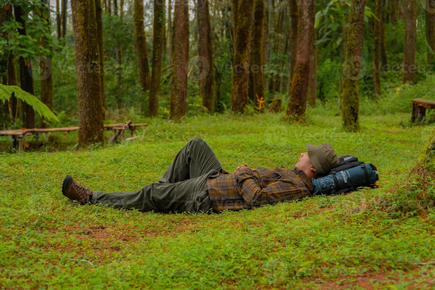 Asian adventurers enjoy the serenity of the wild by resting on the green grass in the pine forest area. A male adventurer was lying on the green grass in a quiet pine forest area. photo
