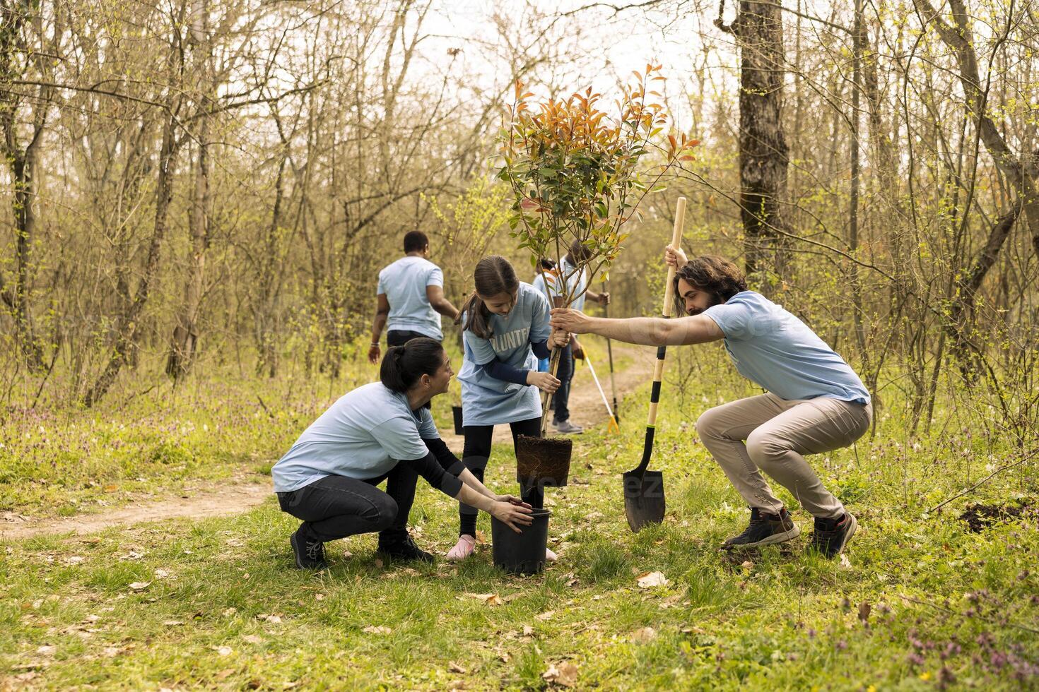 Small girl and activists team do voluntary work by planting trees in the forest, preserving natural habitat. Participating in conservation project and protecting the ecosystem, reforestation. photo