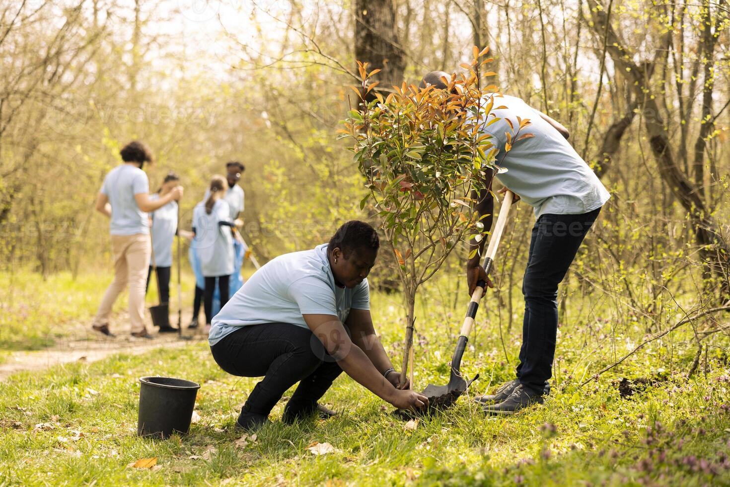 Volunteers group doing community service to plant more trees, covering holes in the ground with seedlings. Contributing to reforestation activity, cultivating consciousness in unity. photo