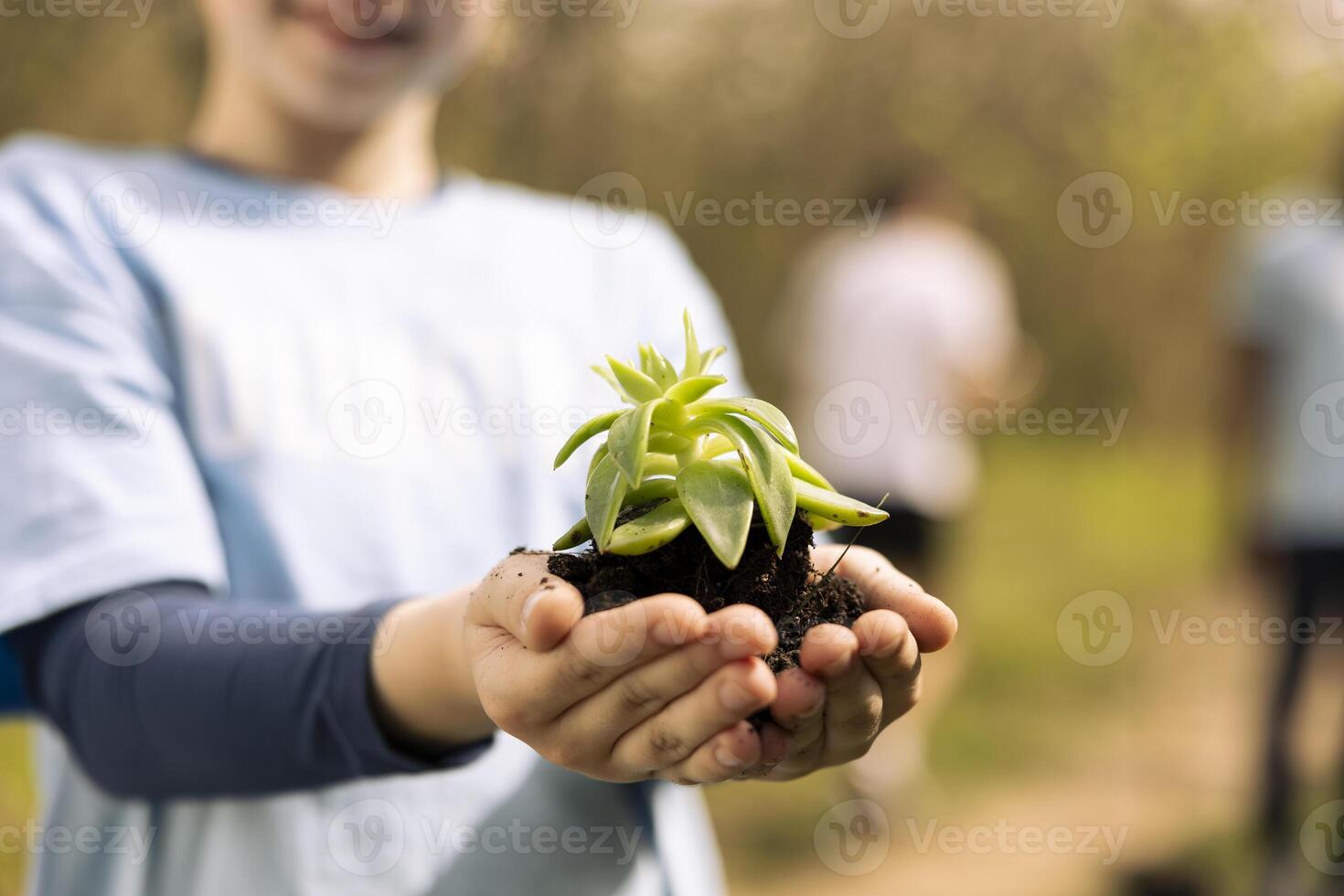 Little girl holding small grown tree seed with soil in her hands, fighting to protect the natural forest ecosystem. Small child activist fixing pollution and conserving nature by planting more trees. photo