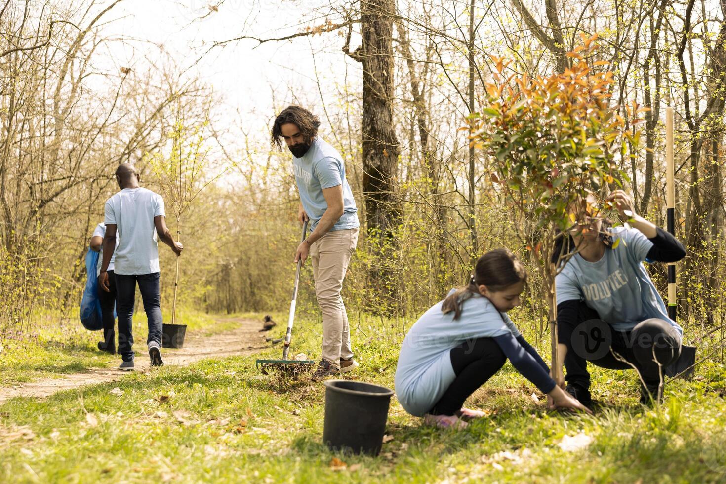 Young man activist using a shovel to dig holes in the ground, planting new greenery for reforestation and conservation project. Working to protect the forest ecosystem with more trees. photo