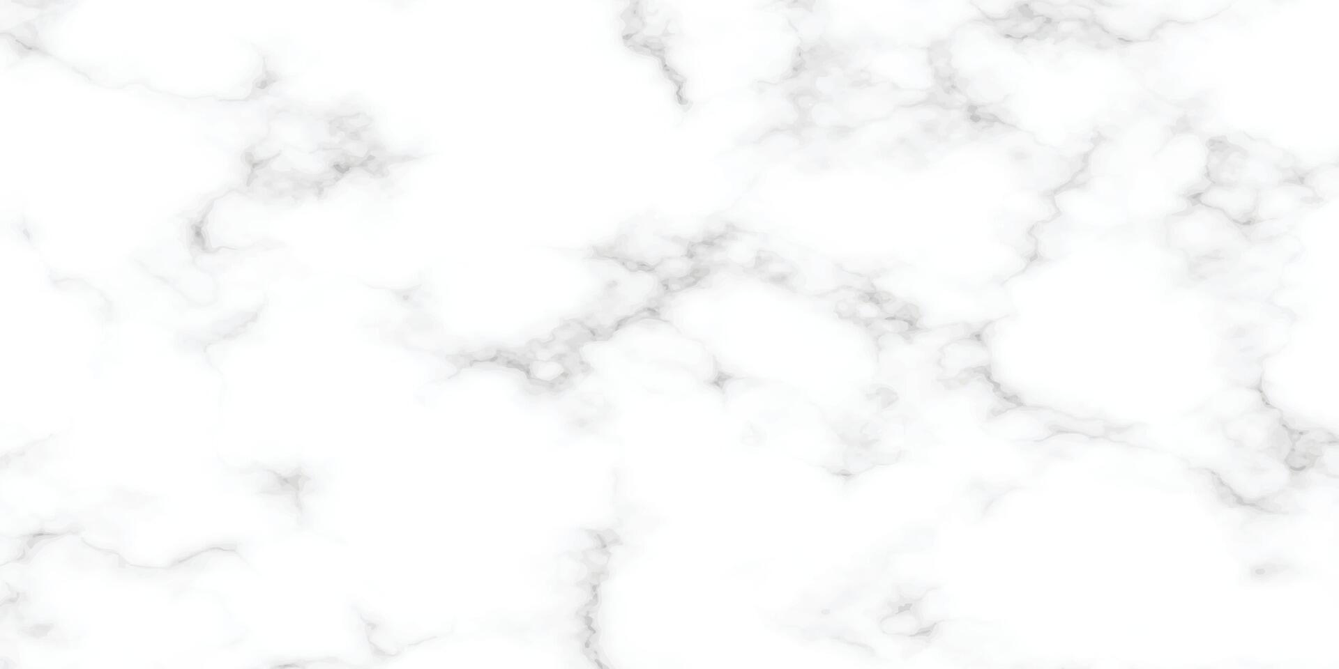 high resolution white Carrara marble stone texture. vector