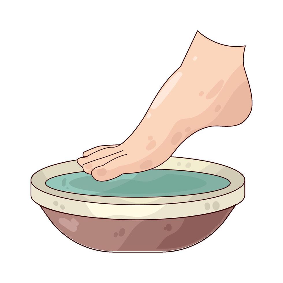 Illustration of foot spa vector
