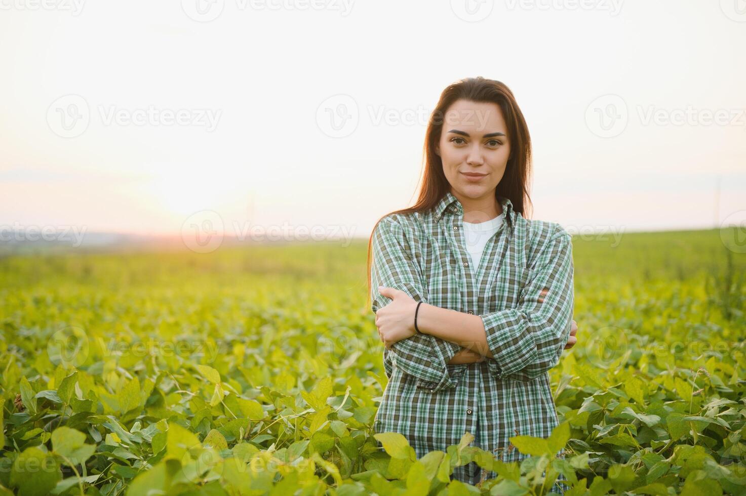 A female farmer in soybean field photo