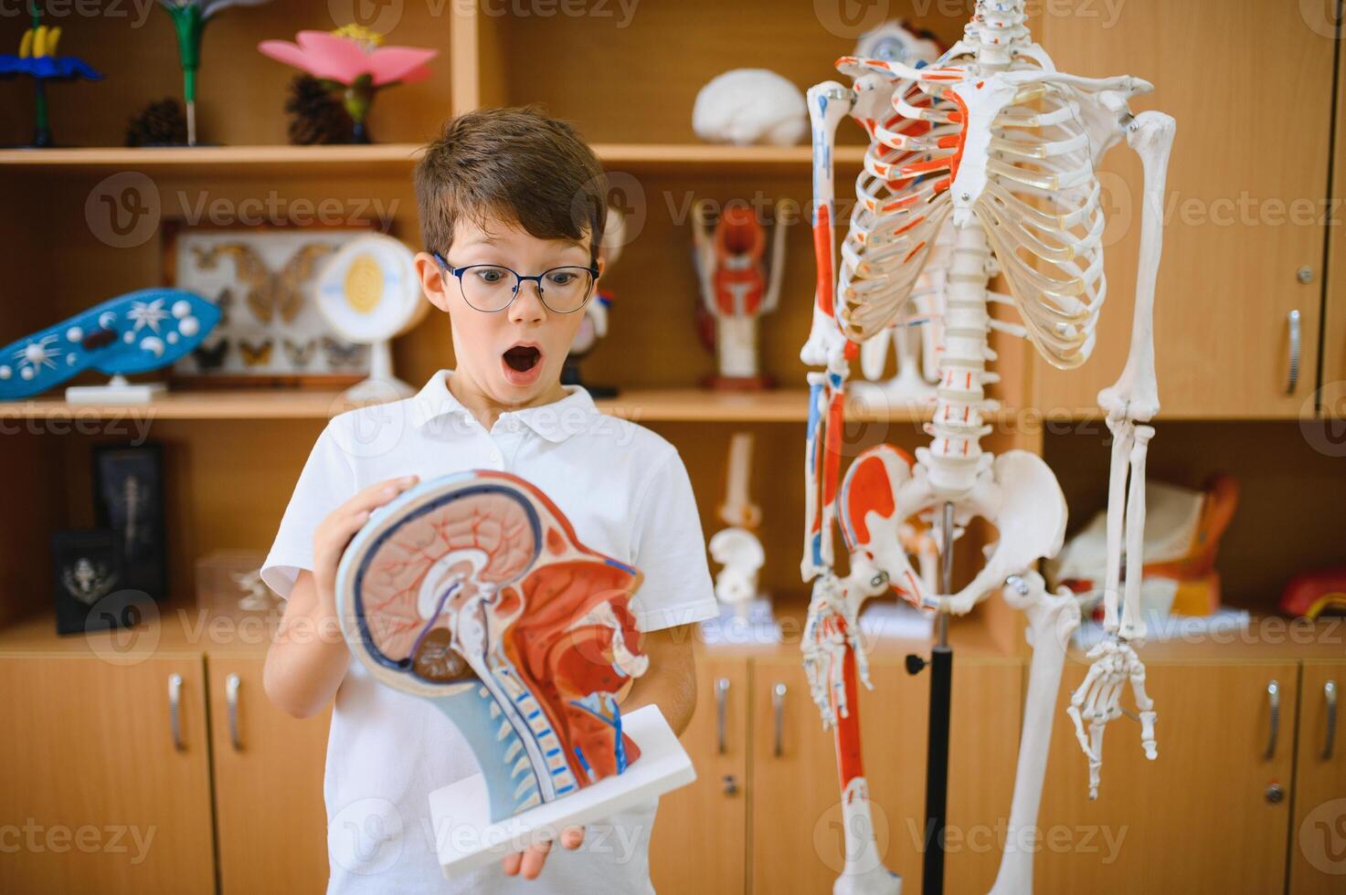 A schoolboy holds a model of human DNA in his hands. Biology lesson photo