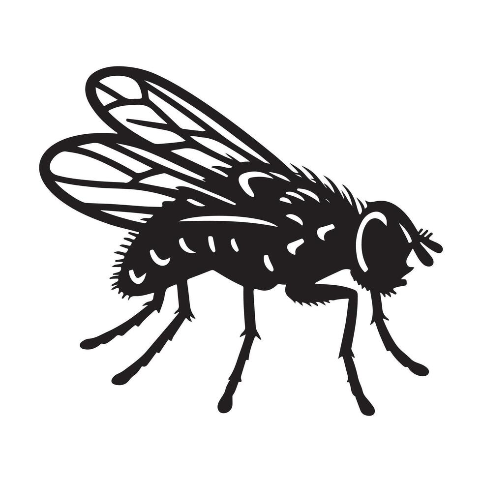 Neat and clean fly insect vector